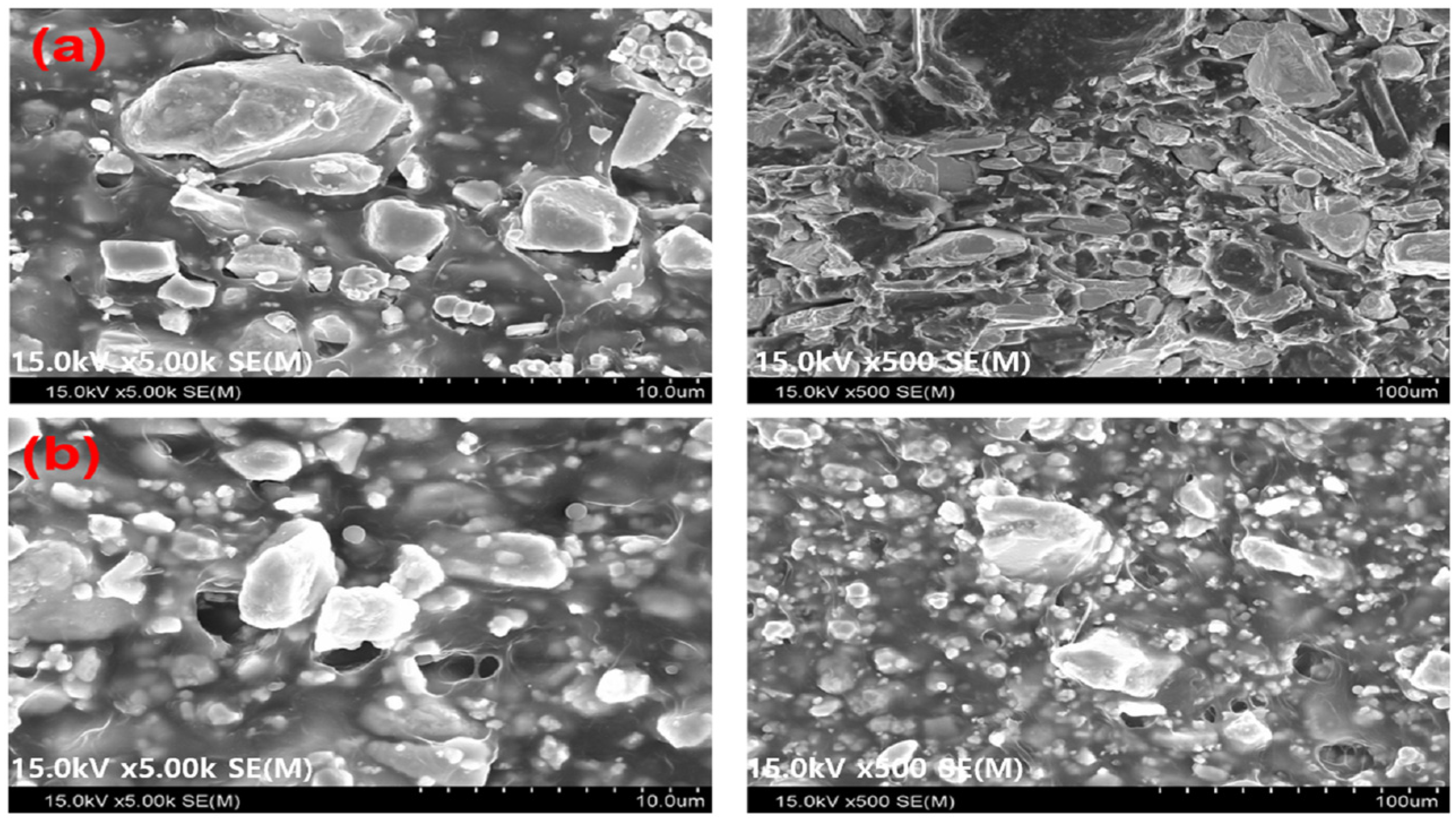 Coatings 13 00272 g004 Coatings 13 00272 g004