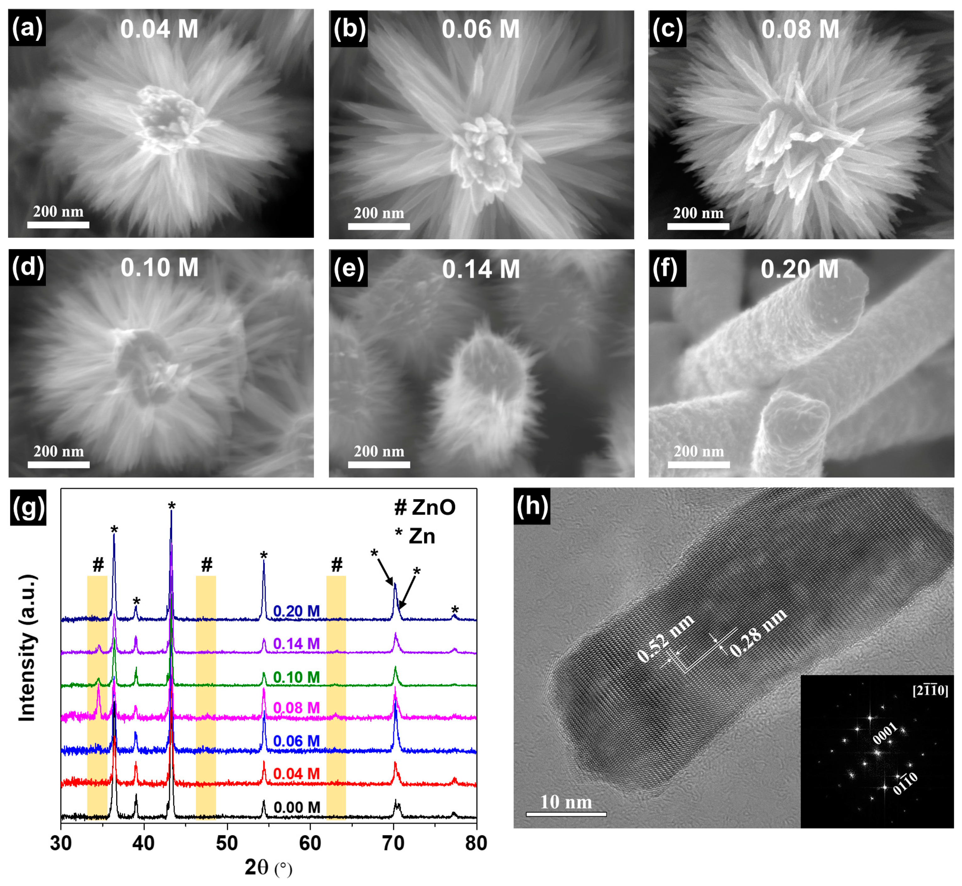 Coatings 13 00275 g002 Coatings 13 00275 g002