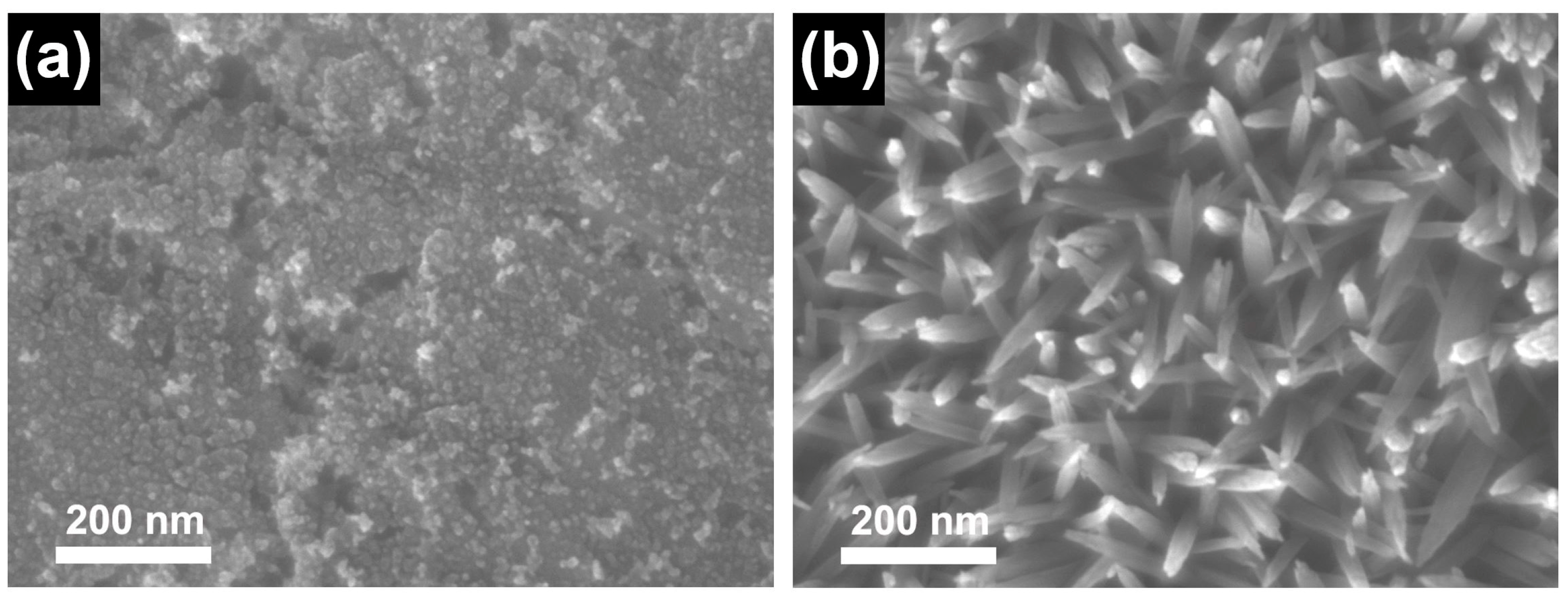 Coatings 13 00275 g005 Coatings 13 00275 g005