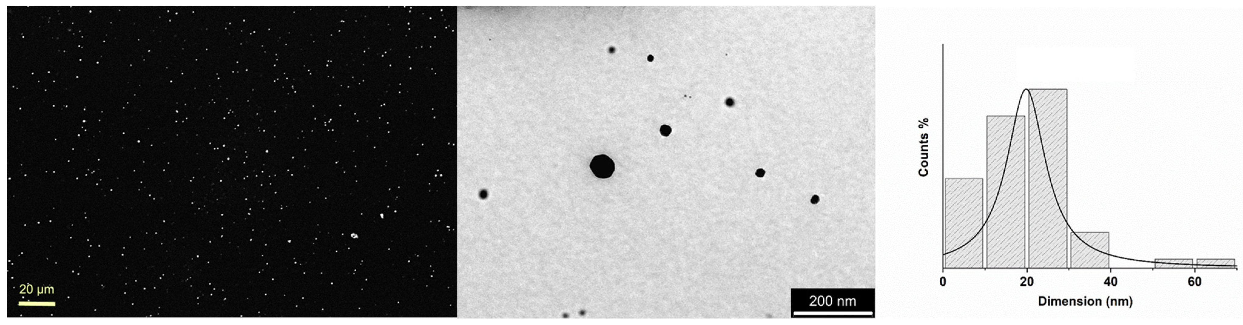 Coatings 13 00277 g003 Coatings 13 00277 g003