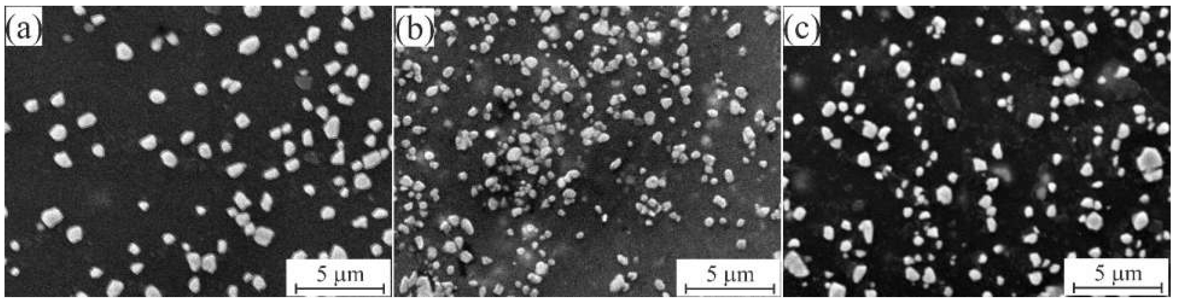 Coatings 13 00284 g004 Coatings 13 00284 g004