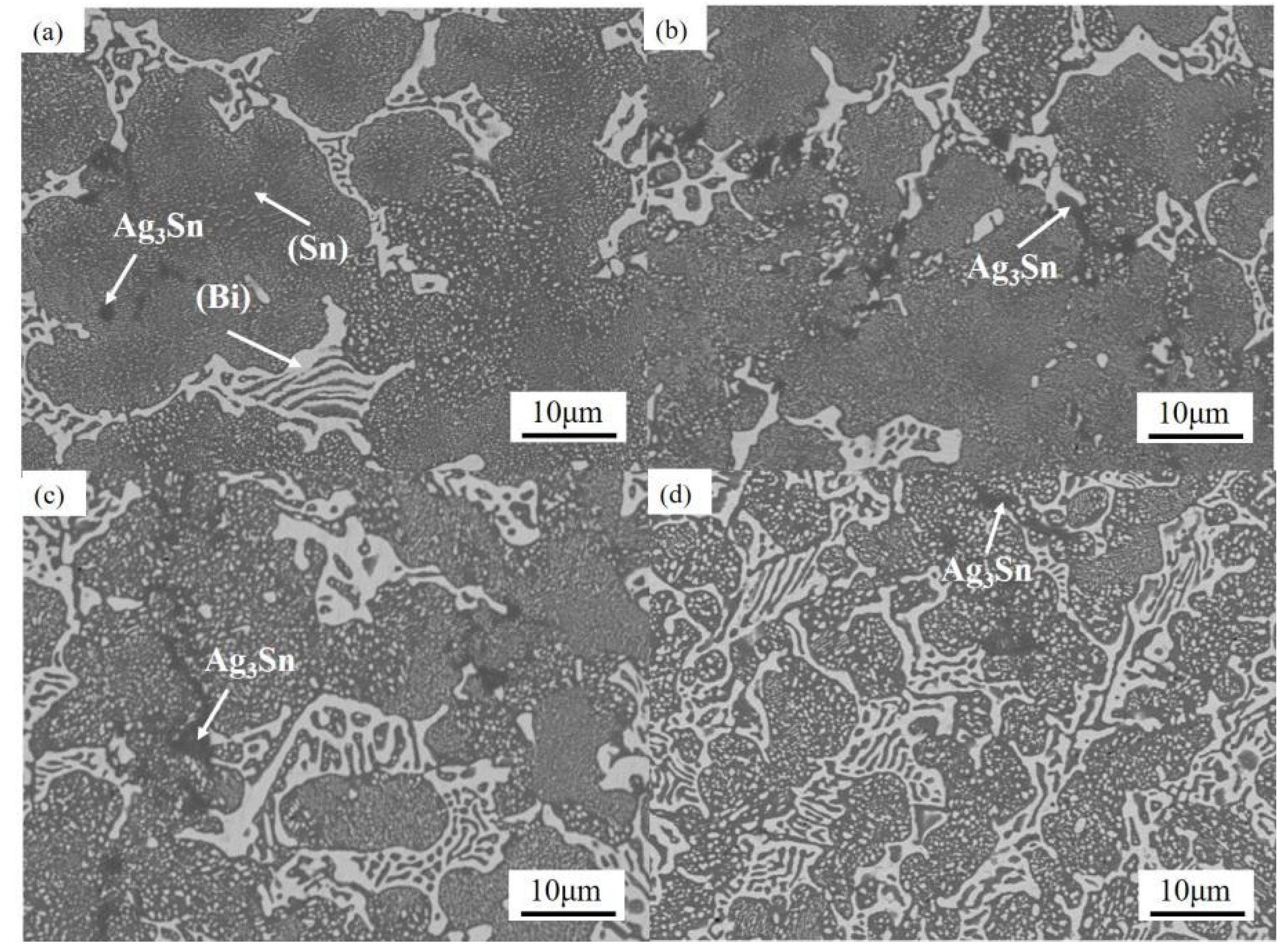 Coatings 13 00285 g006