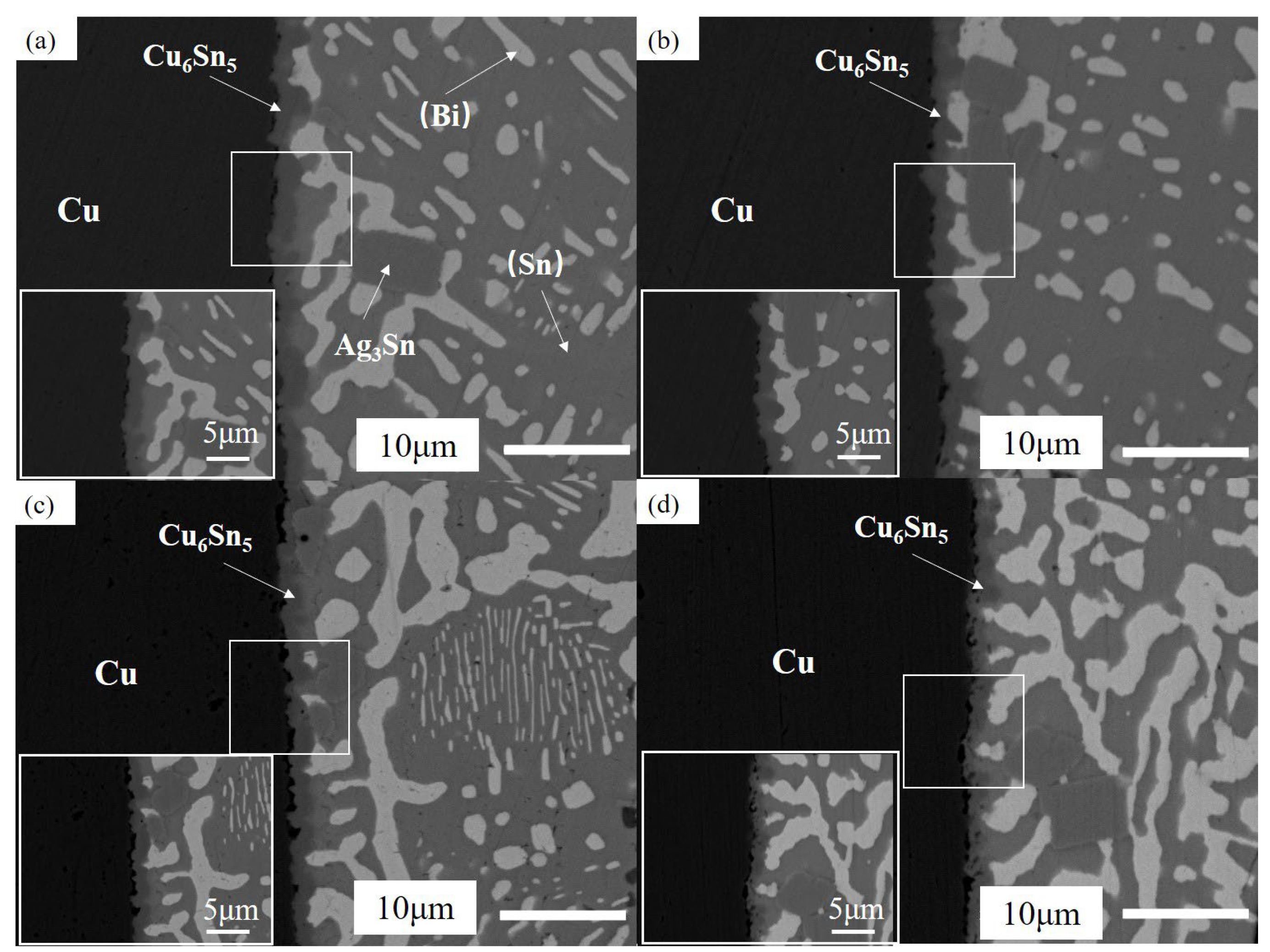Coatings 13 00285 g017