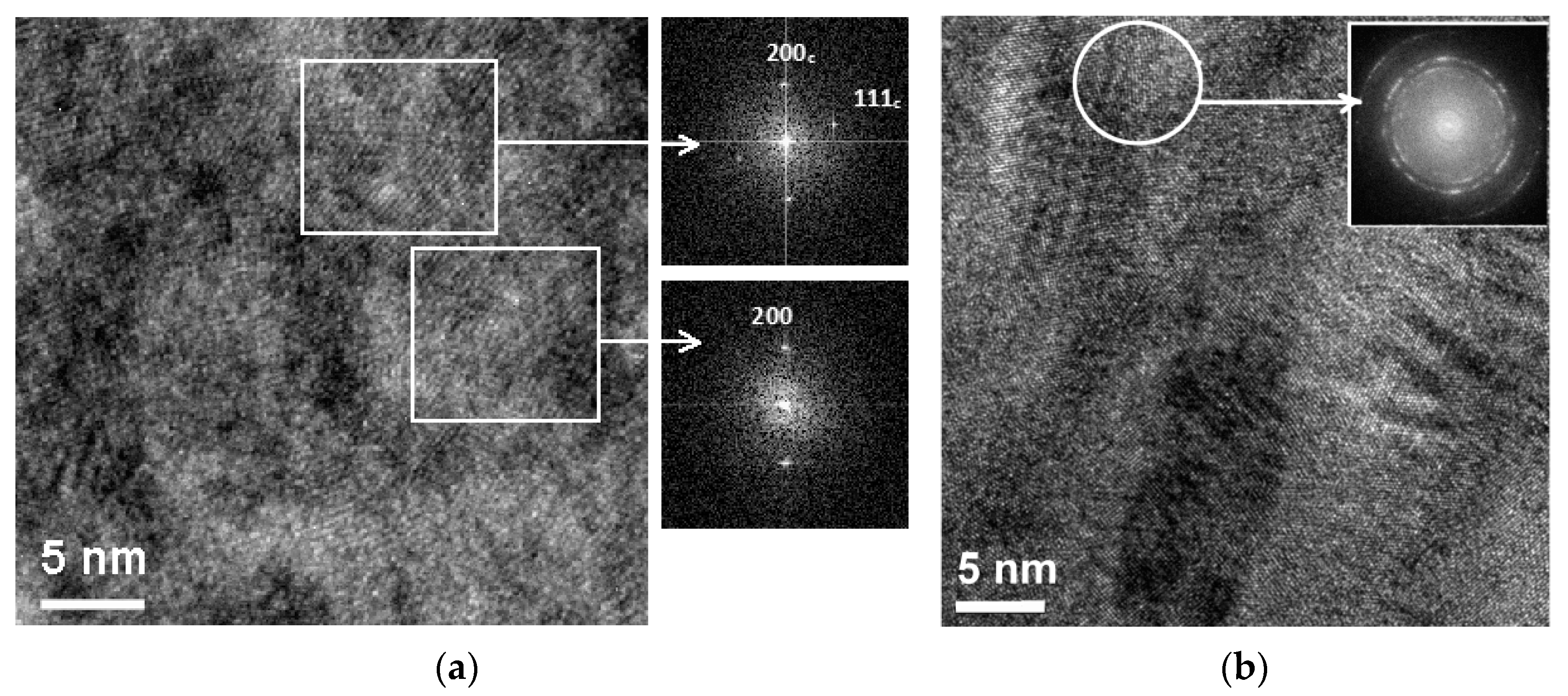 Coatings 13 00287 g001