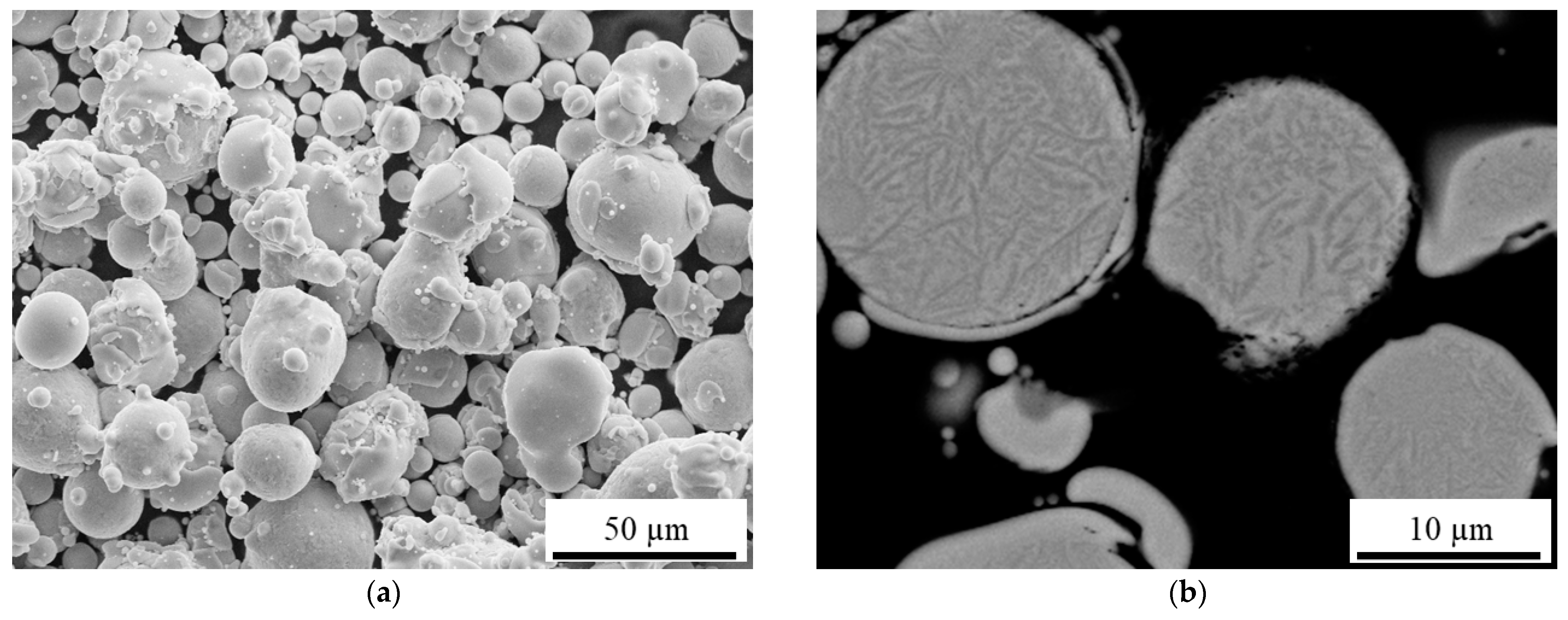 Coatings 13 00291 g003 Coatings 13 00291 g003