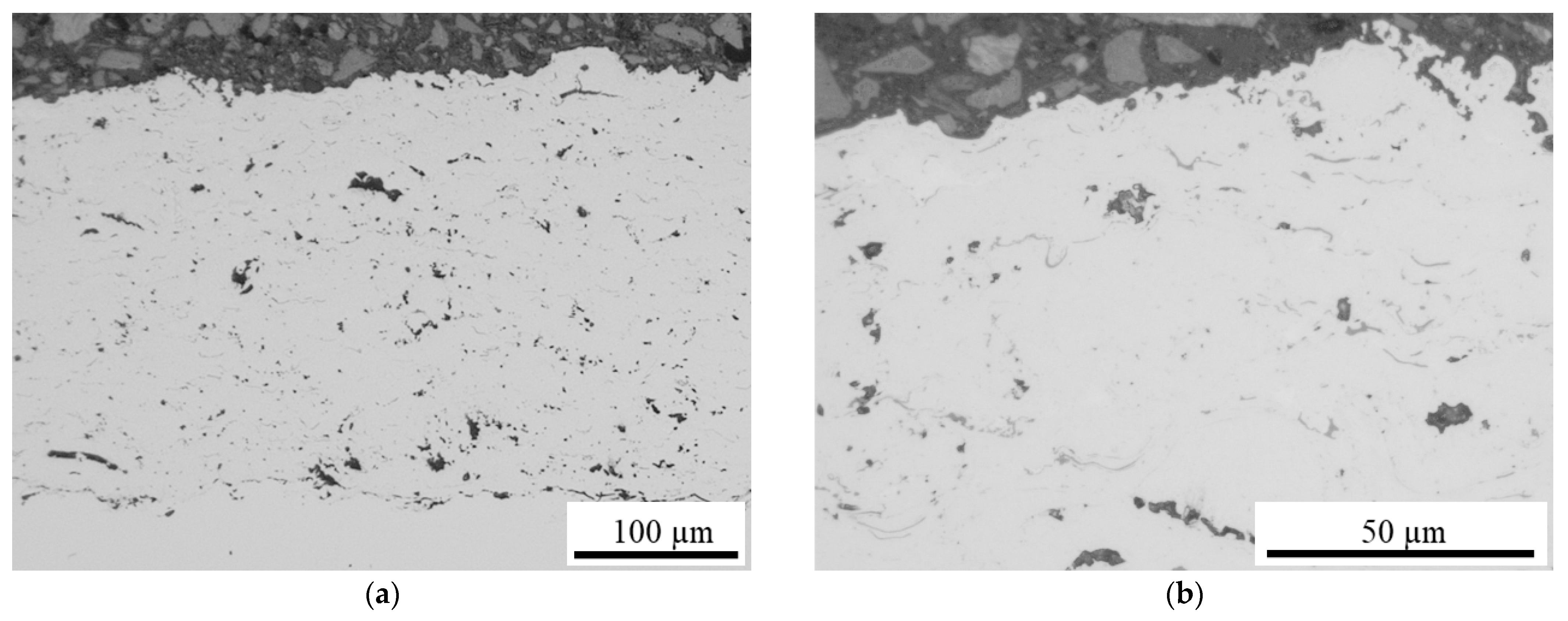 Coatings 13 00291 g004 Coatings 13 00291 g004
