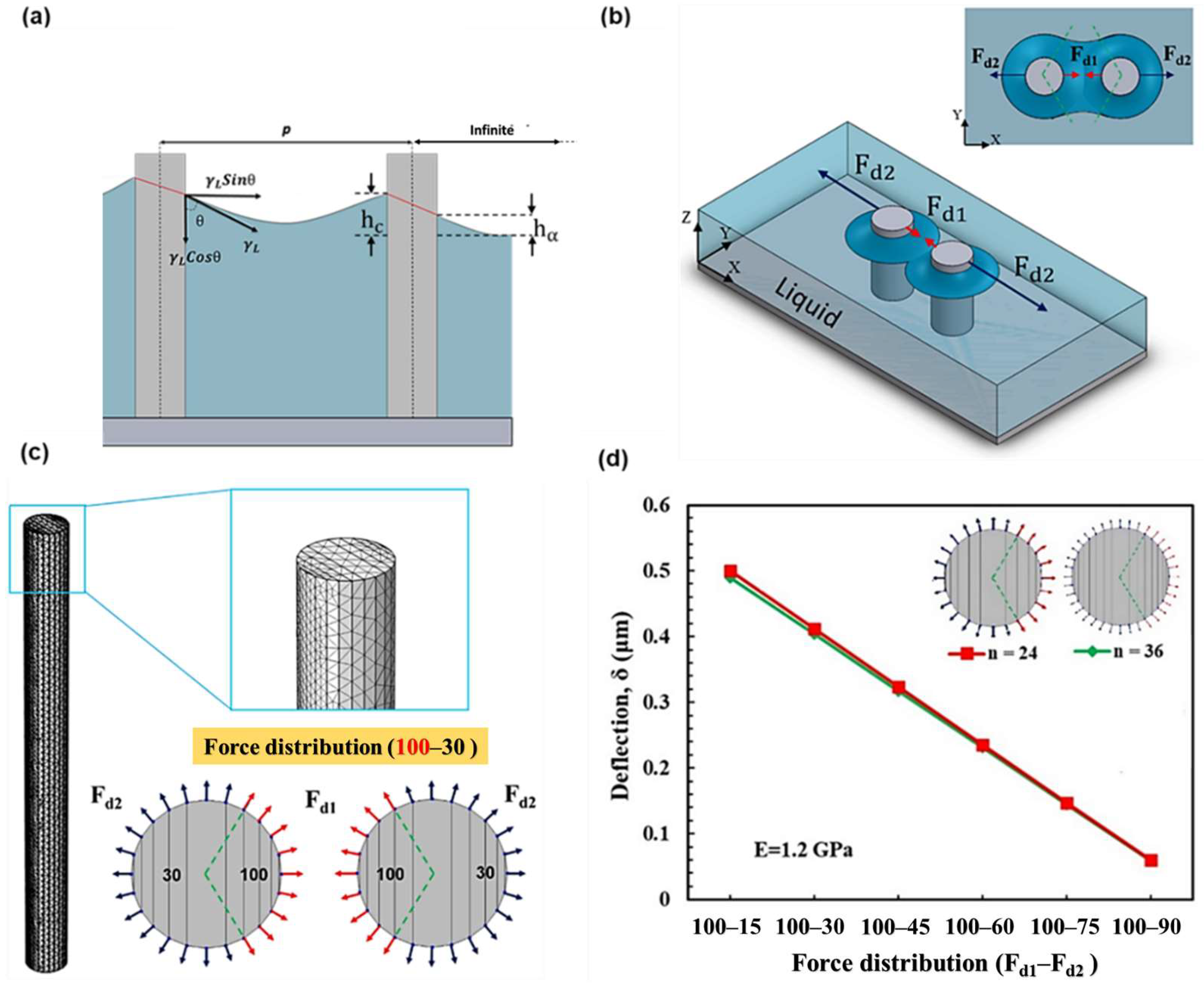 Coatings 13 00292 g001