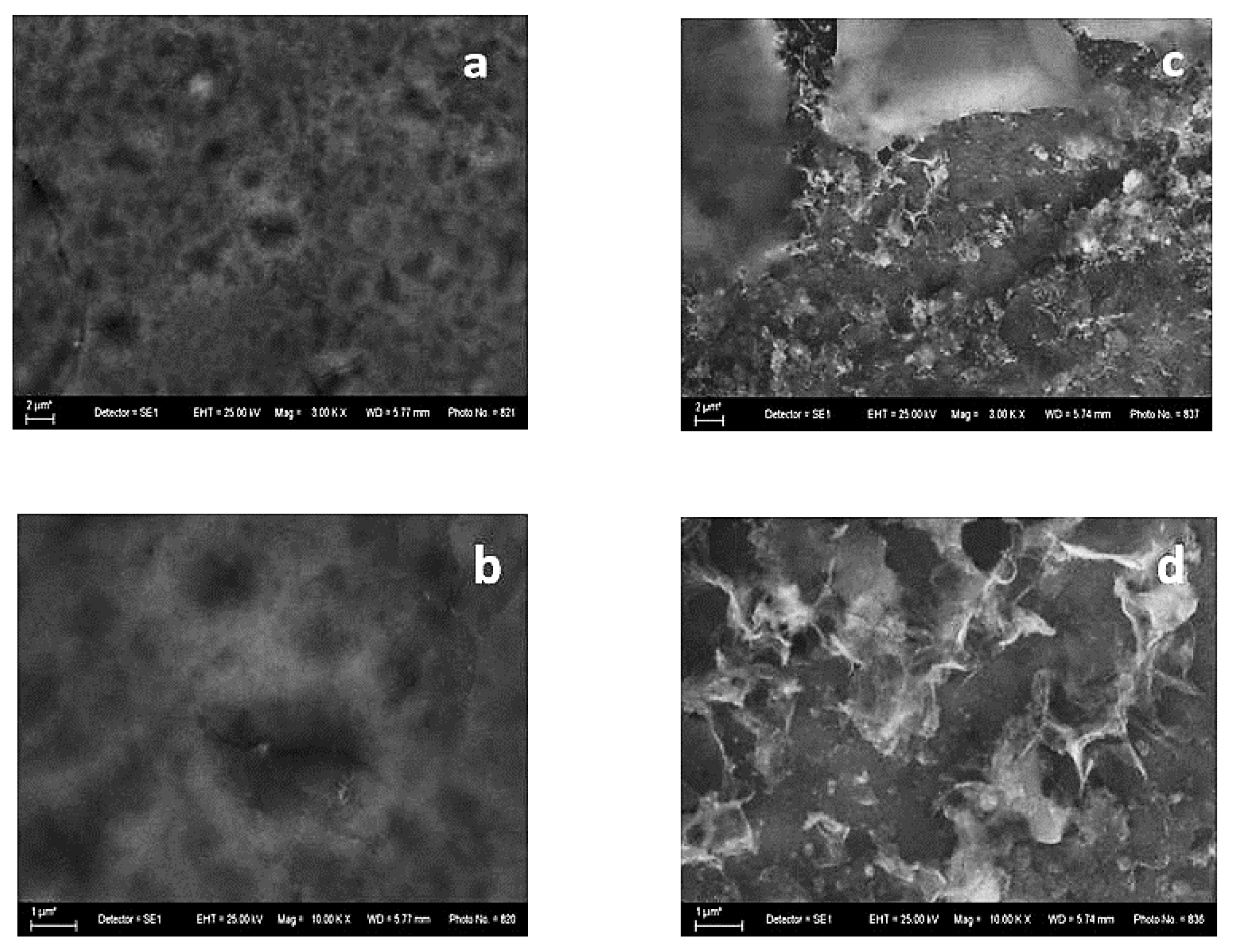 Coatings 13 00295 g004 Coatings 13 00295 g004