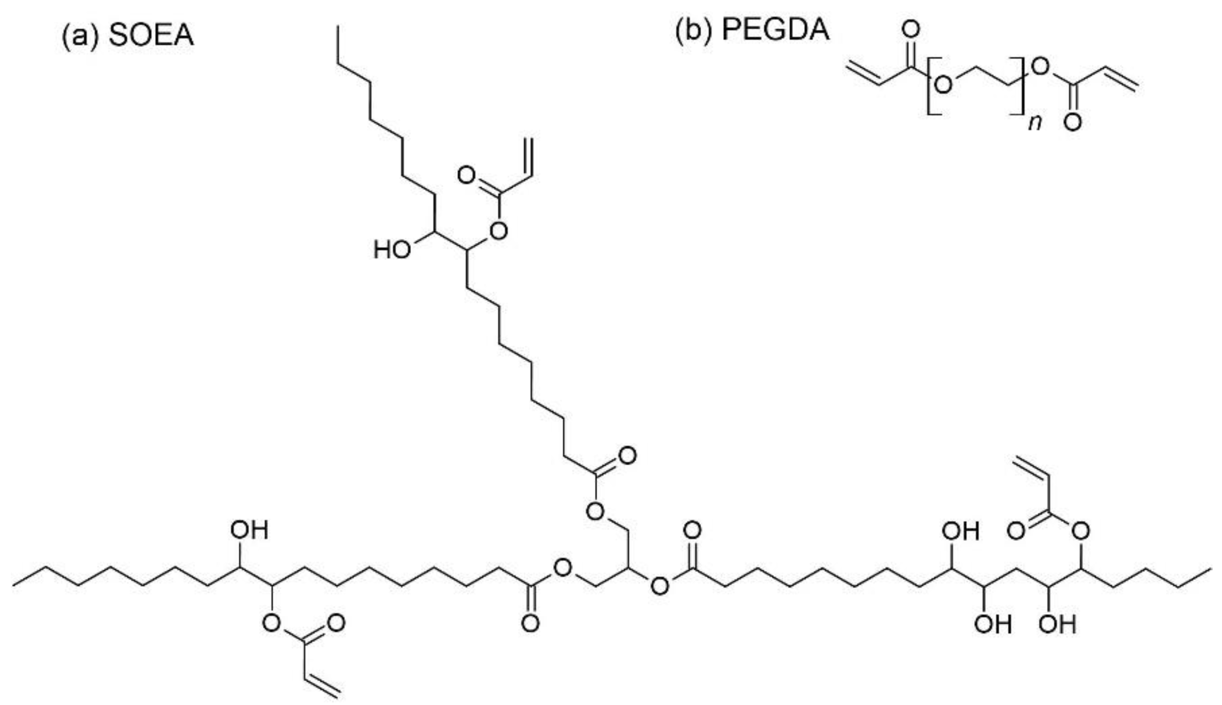 Coatings 13 00297 g001