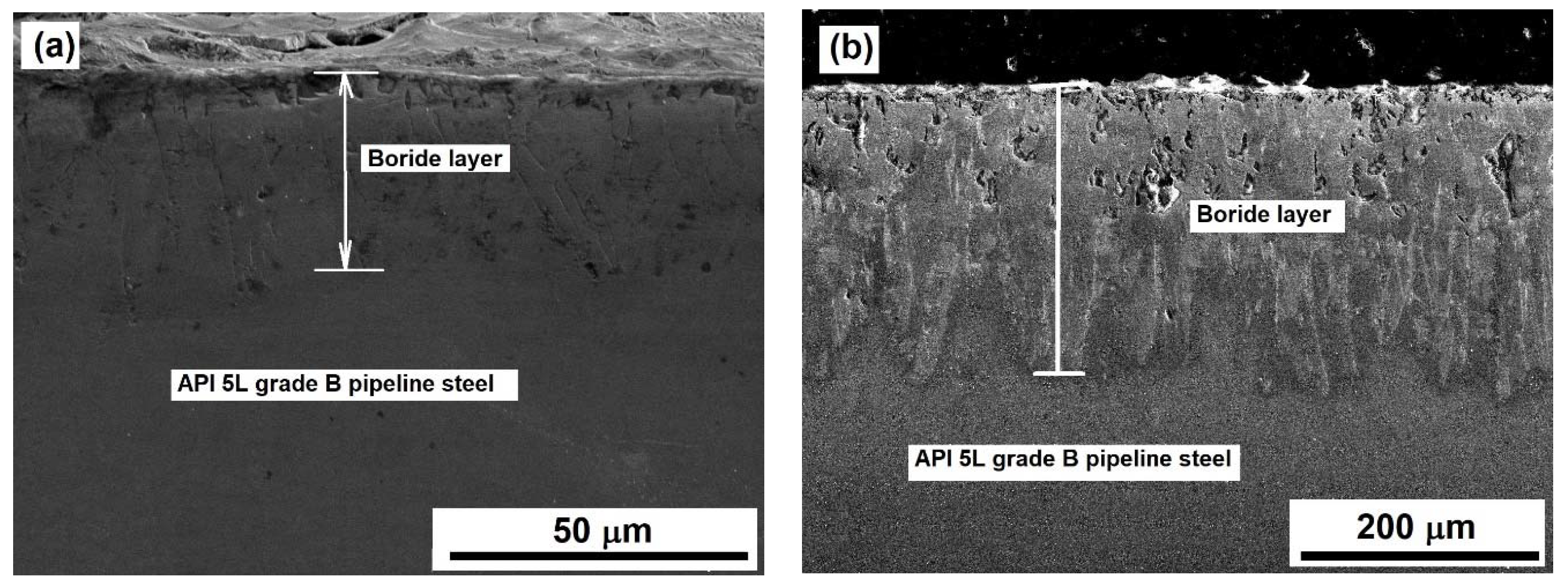 Coatings 13 00298 g008