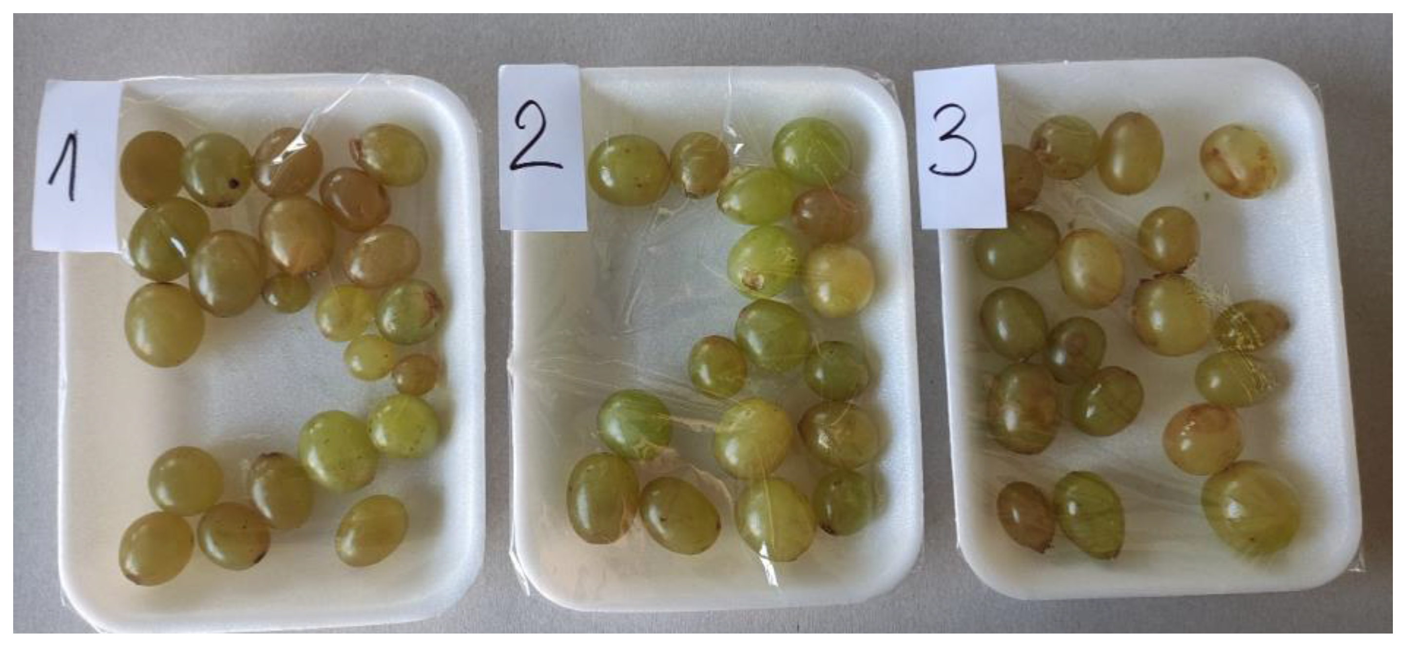 Coatings 13 00299 g001