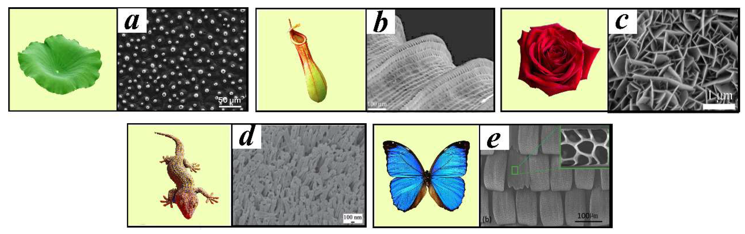 Coatings 13 00301 g001 Coatings 13 00301 g001