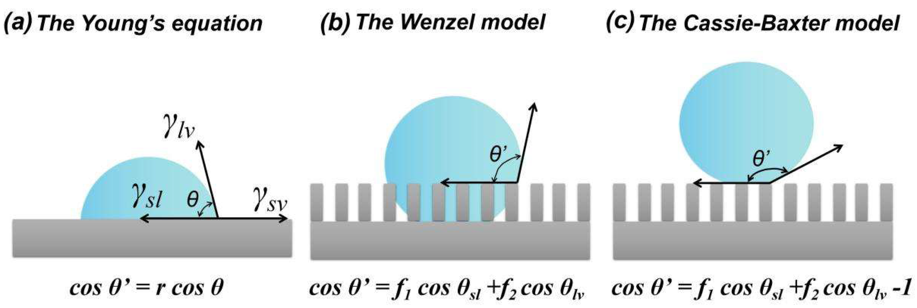 Coatings 13 00301 g002 Coatings 13 00301 g002