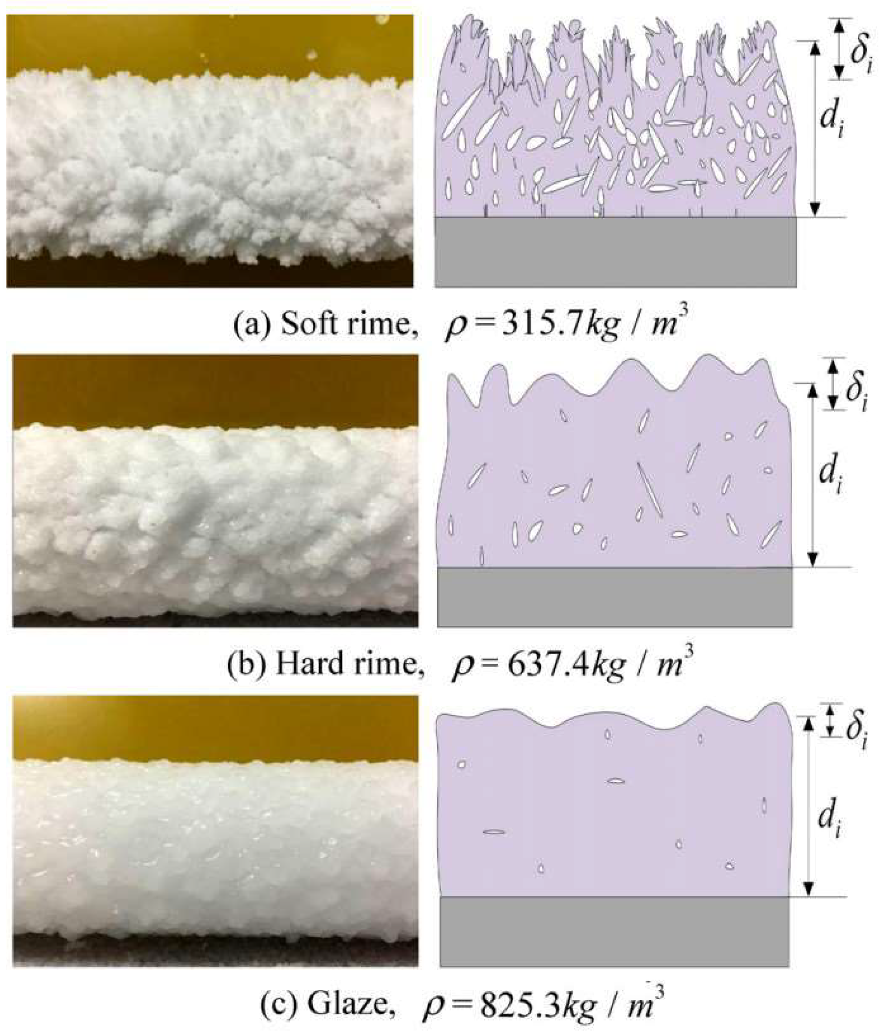 Coatings 13 00301 g003 Coatings 13 00301 g003