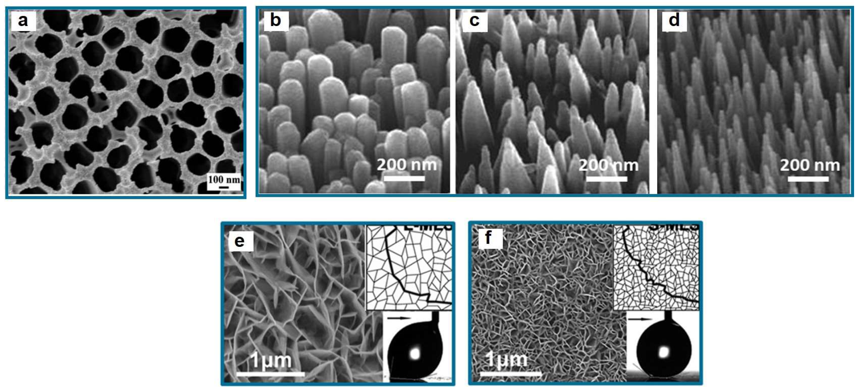 Coatings 13 00301 g008 Coatings 13 00301 g008