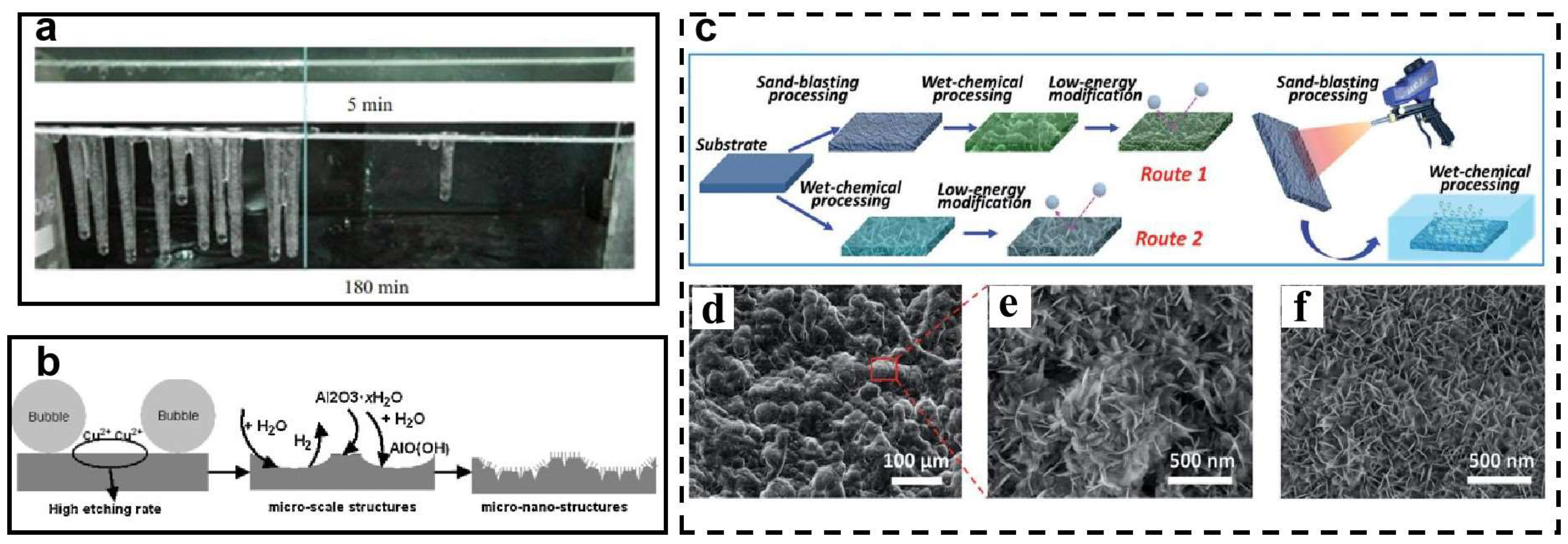 Coatings 13 00301 g011 Coatings 13 00301 g011
