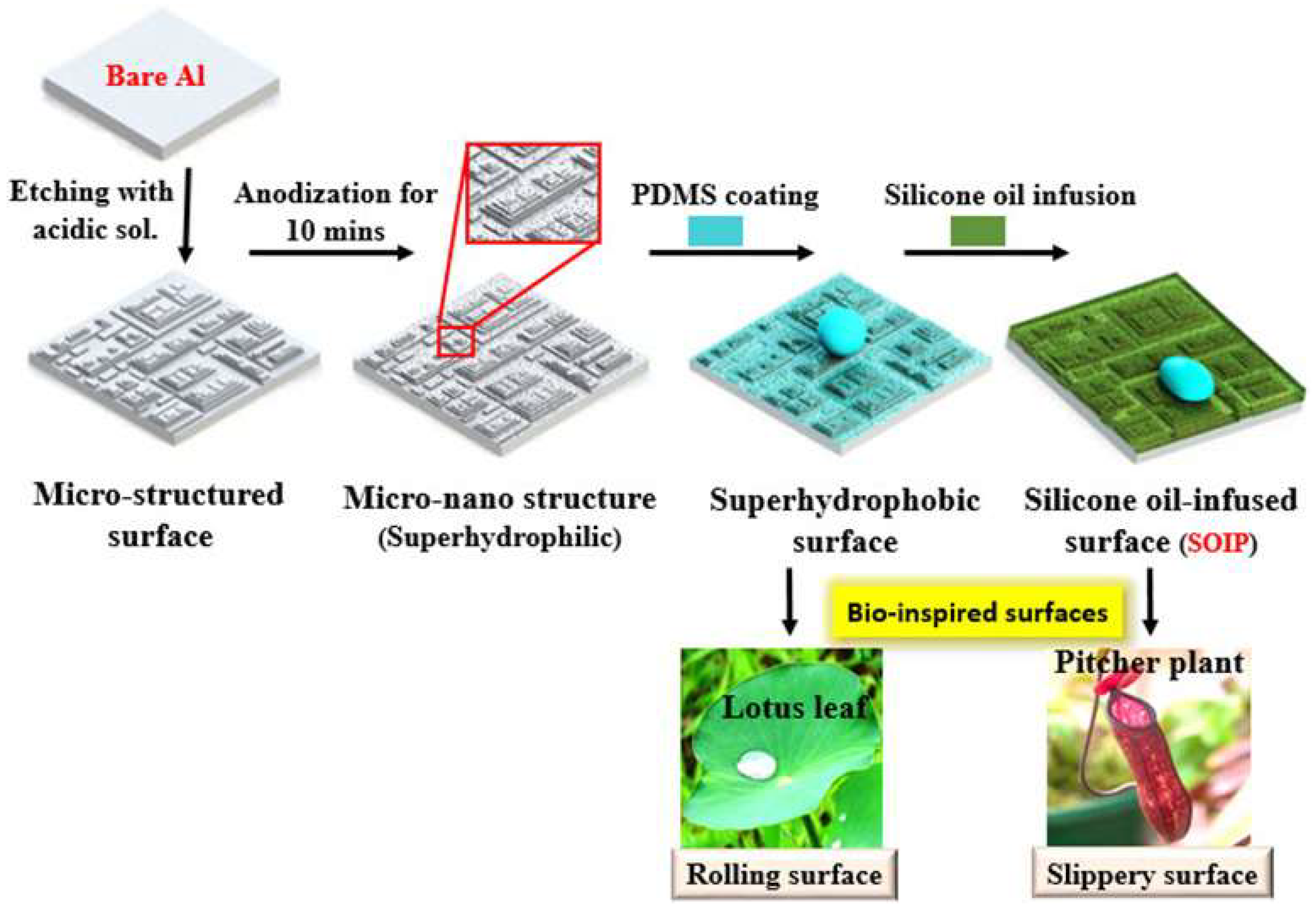 Coatings 13 00301 g012 Coatings 13 00301 g012