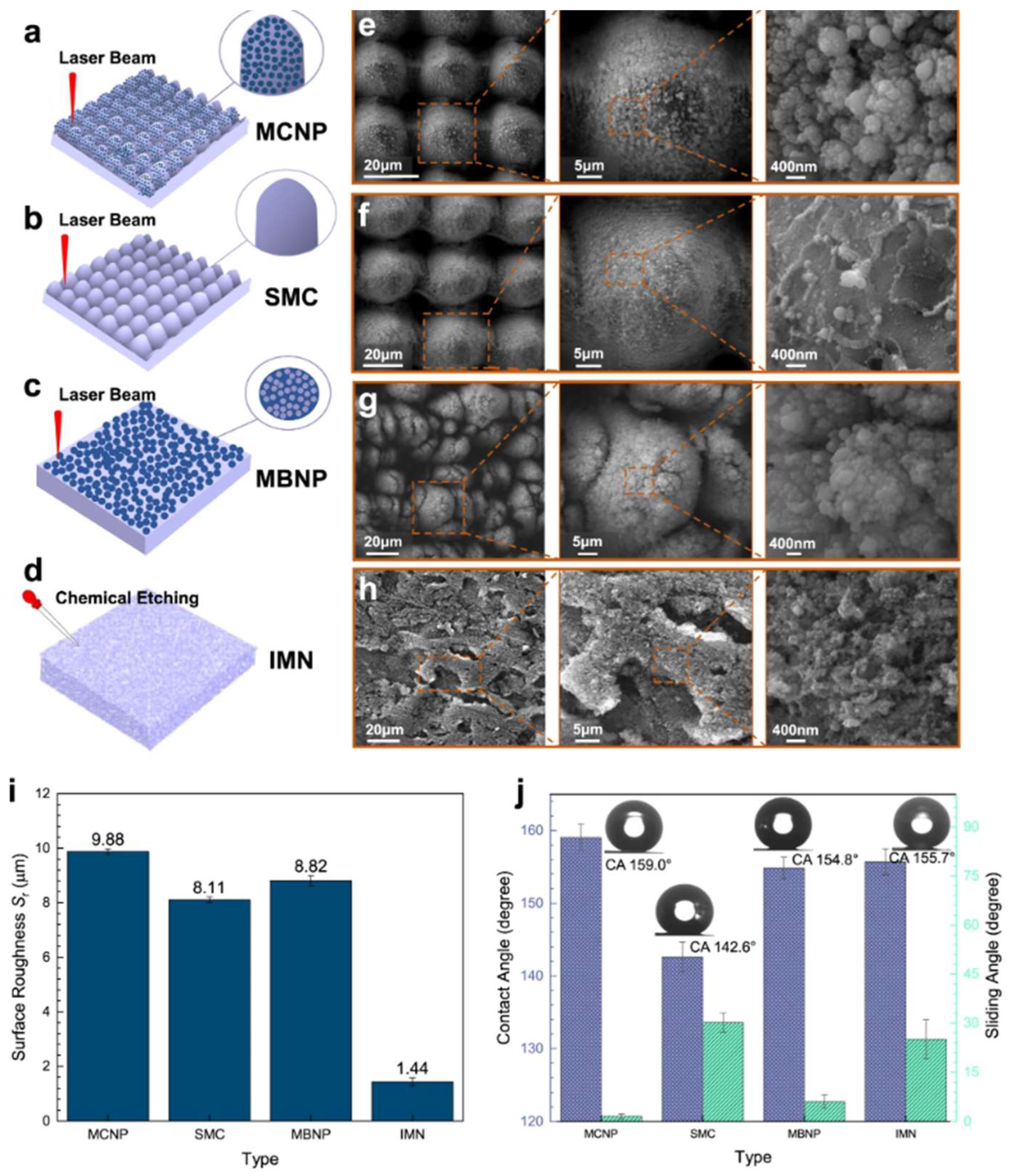 Coatings 13 00301 g013 Coatings 13 00301 g013