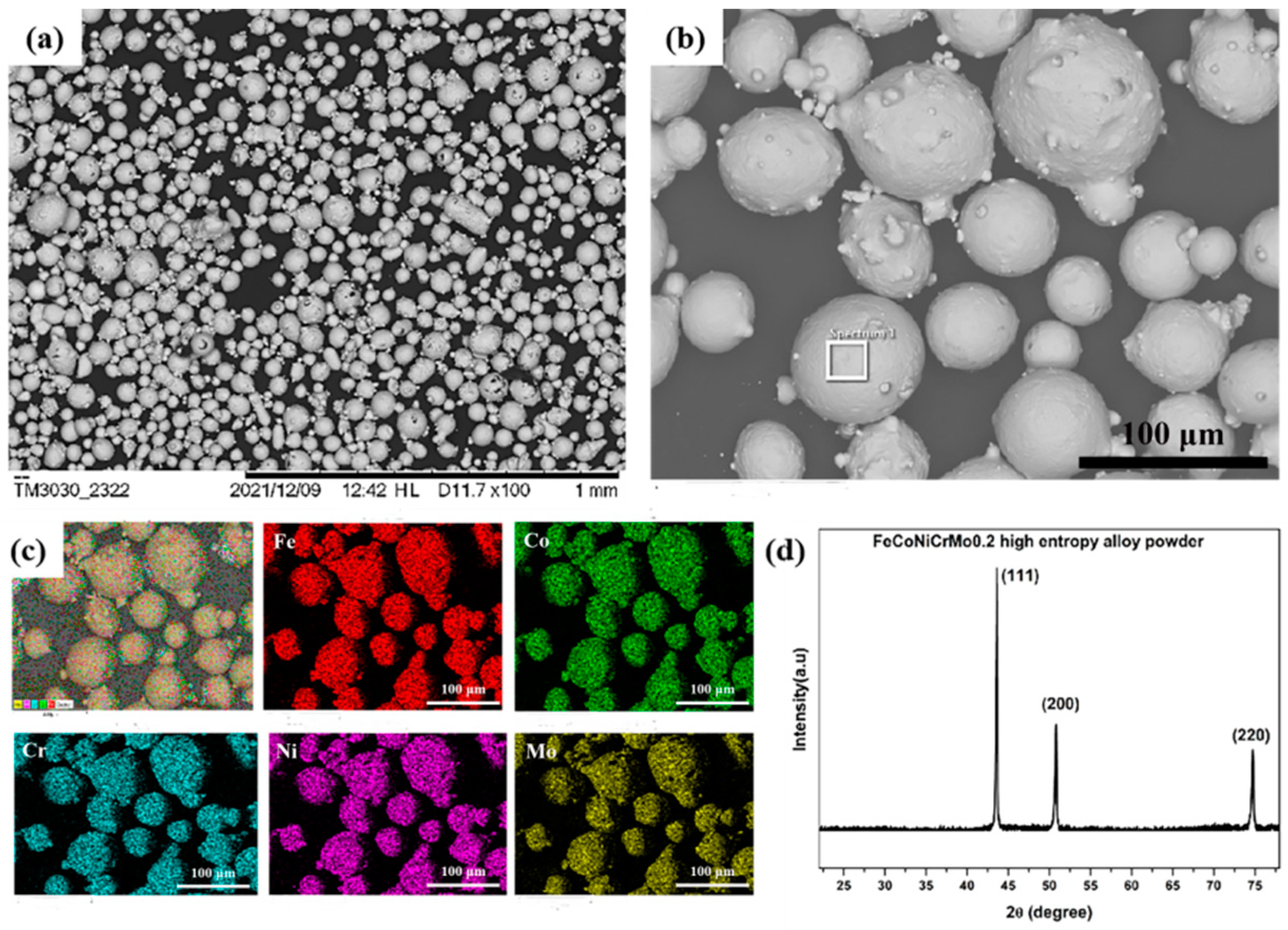 Coatings 13 00303 g001