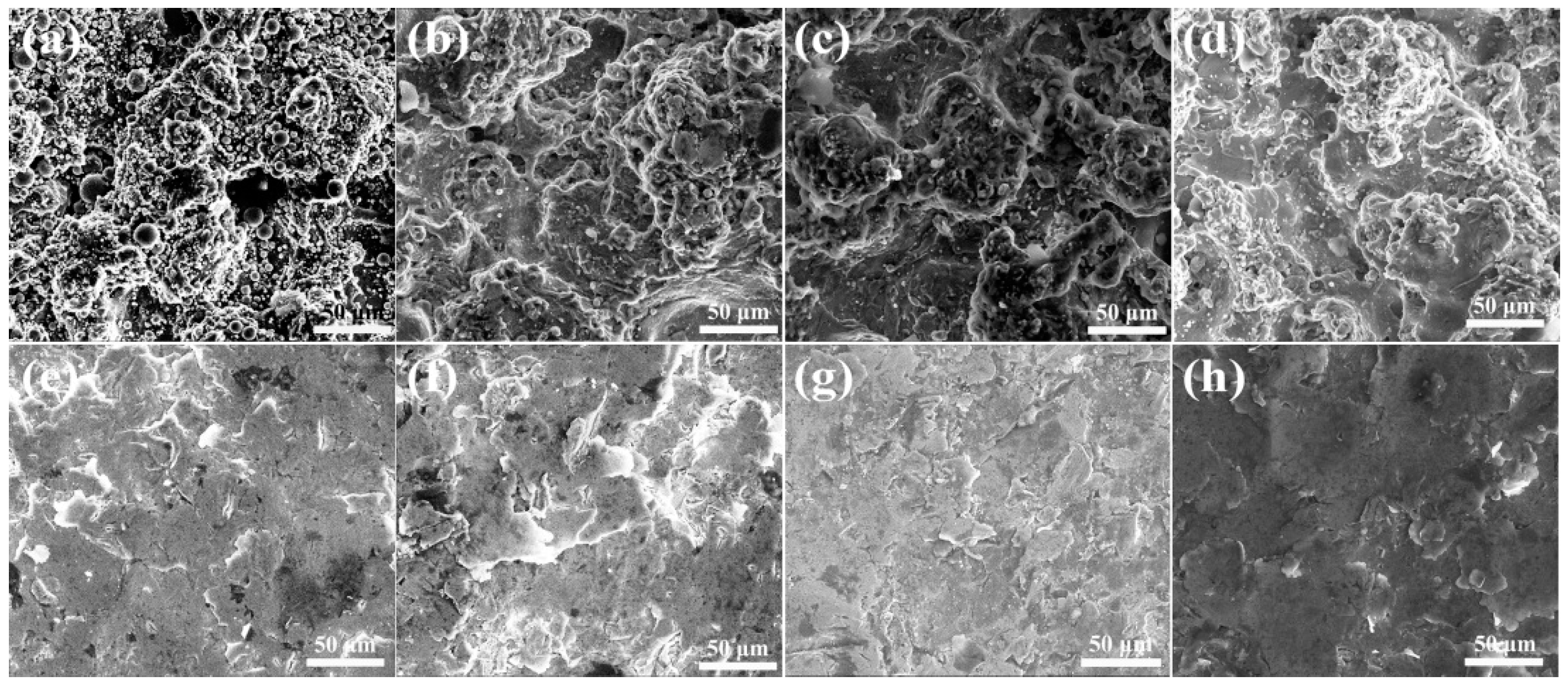 Coatings 13 00303 g002