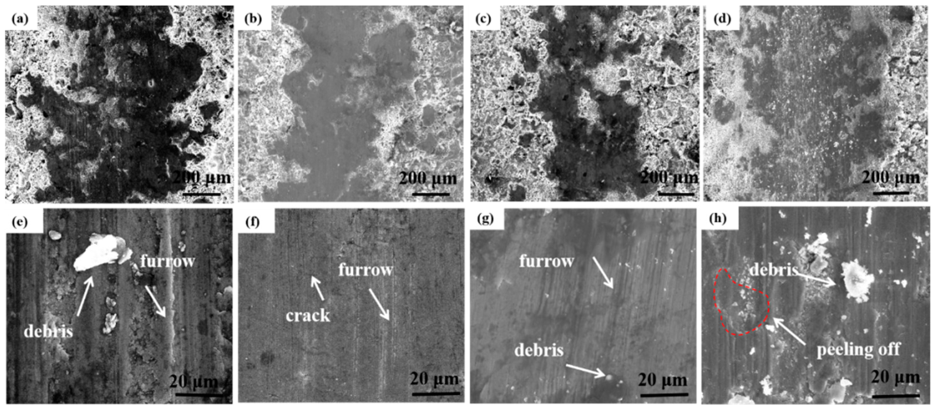Coatings 13 00303 g008