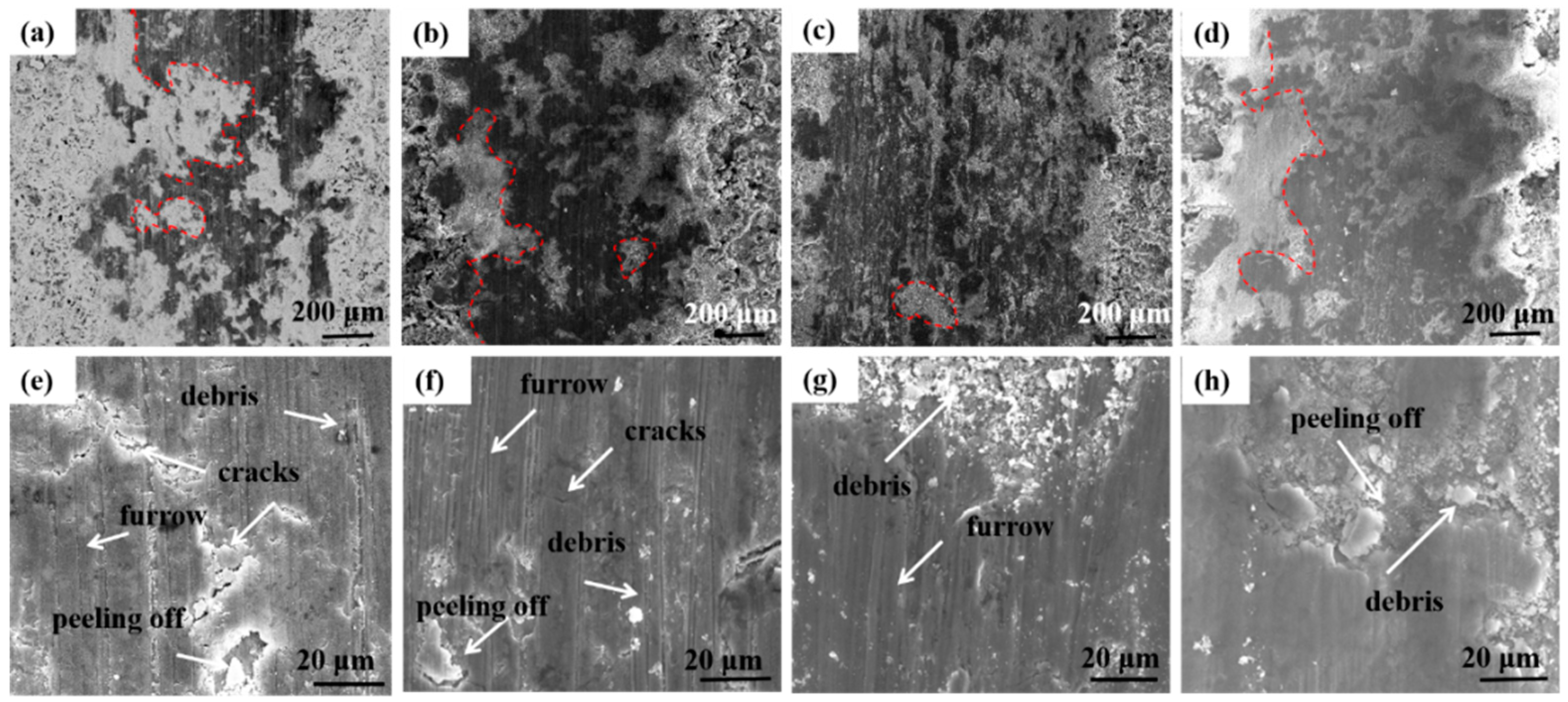 Coatings 13 00303 g009