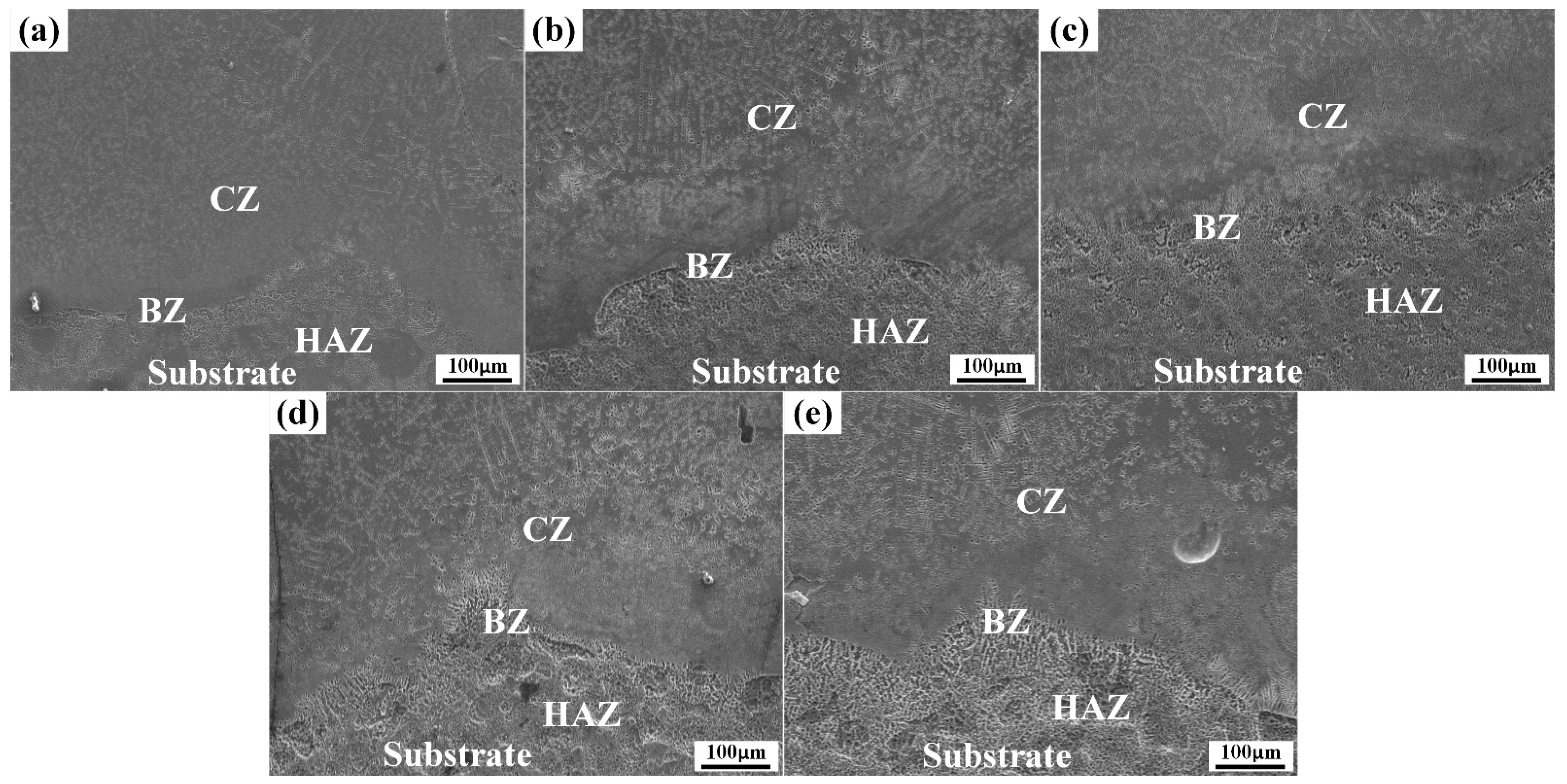 Coatings 13 00308 g003 550