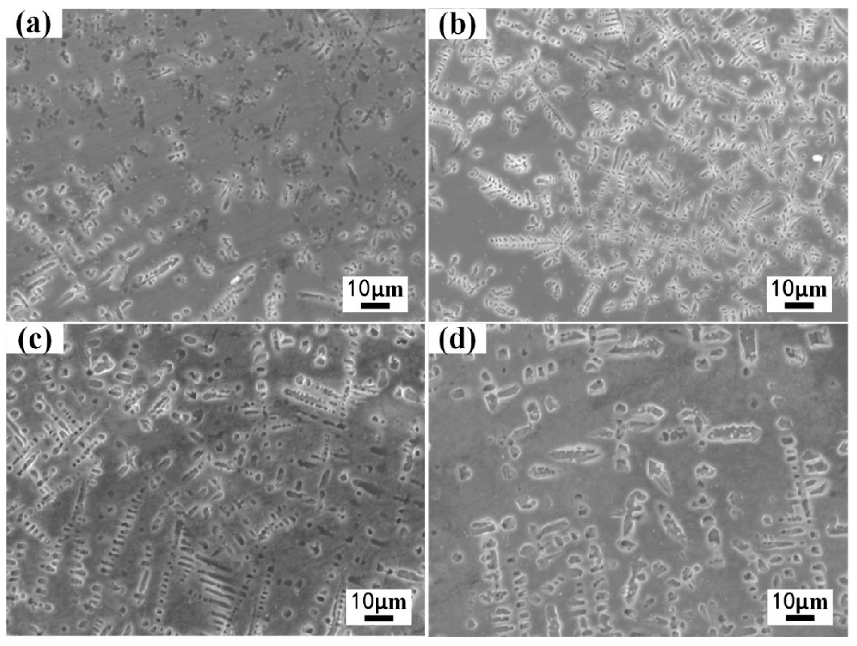 Coatings 13 00308 g006 550