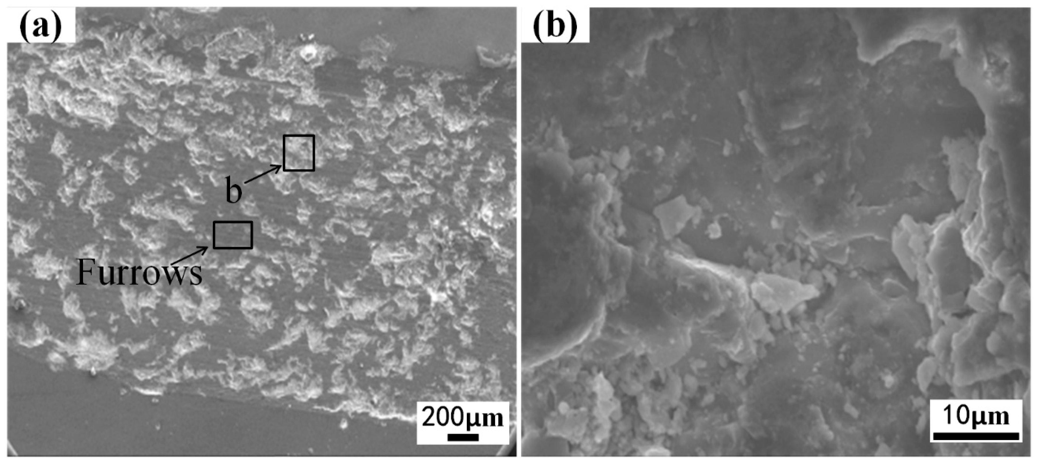 Coatings 13 00308 g010 550