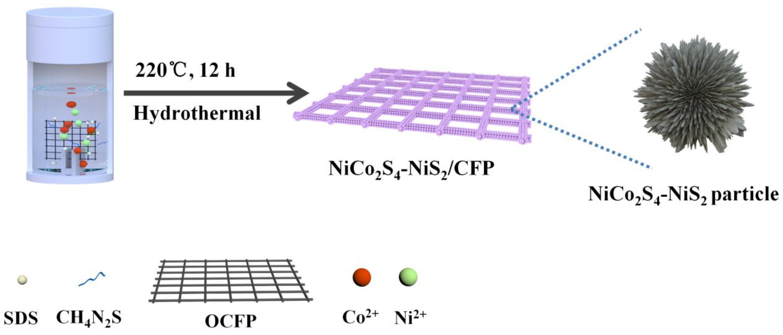 Coatings 13 00313 g001 Coatings 13 00313 g001
