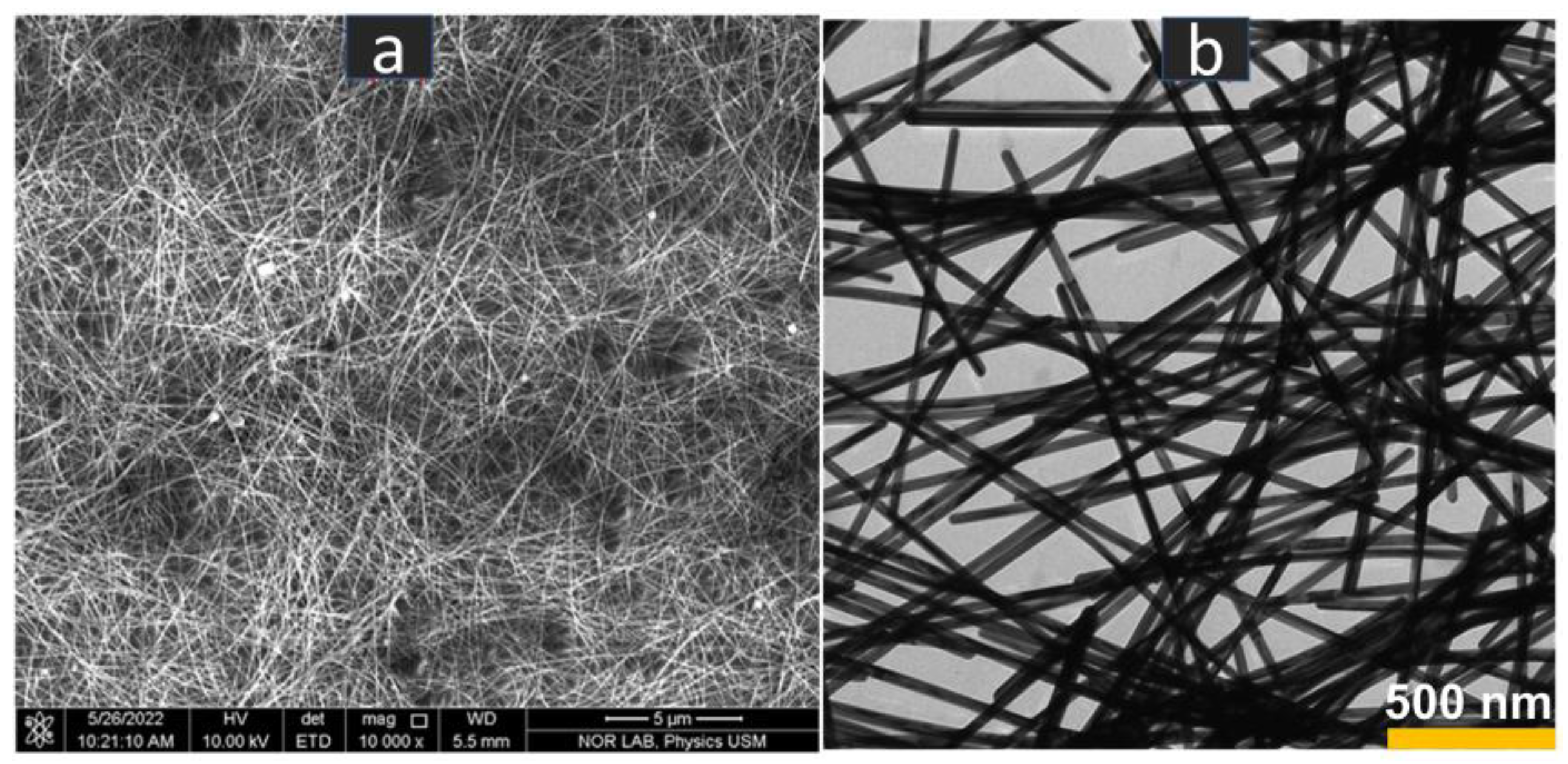 Coatings 13 00315 g003