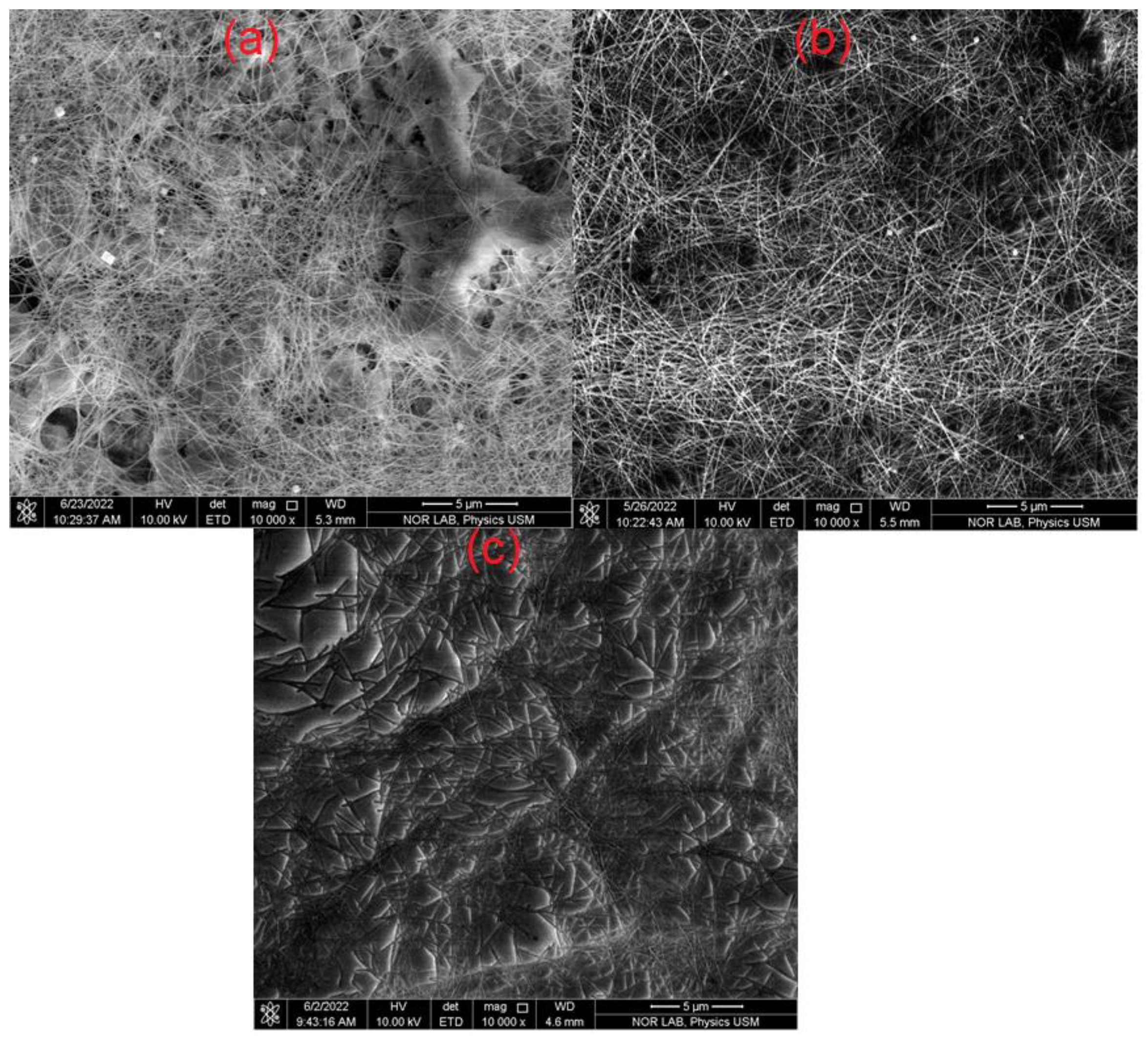 Coatings 13 00315 g006