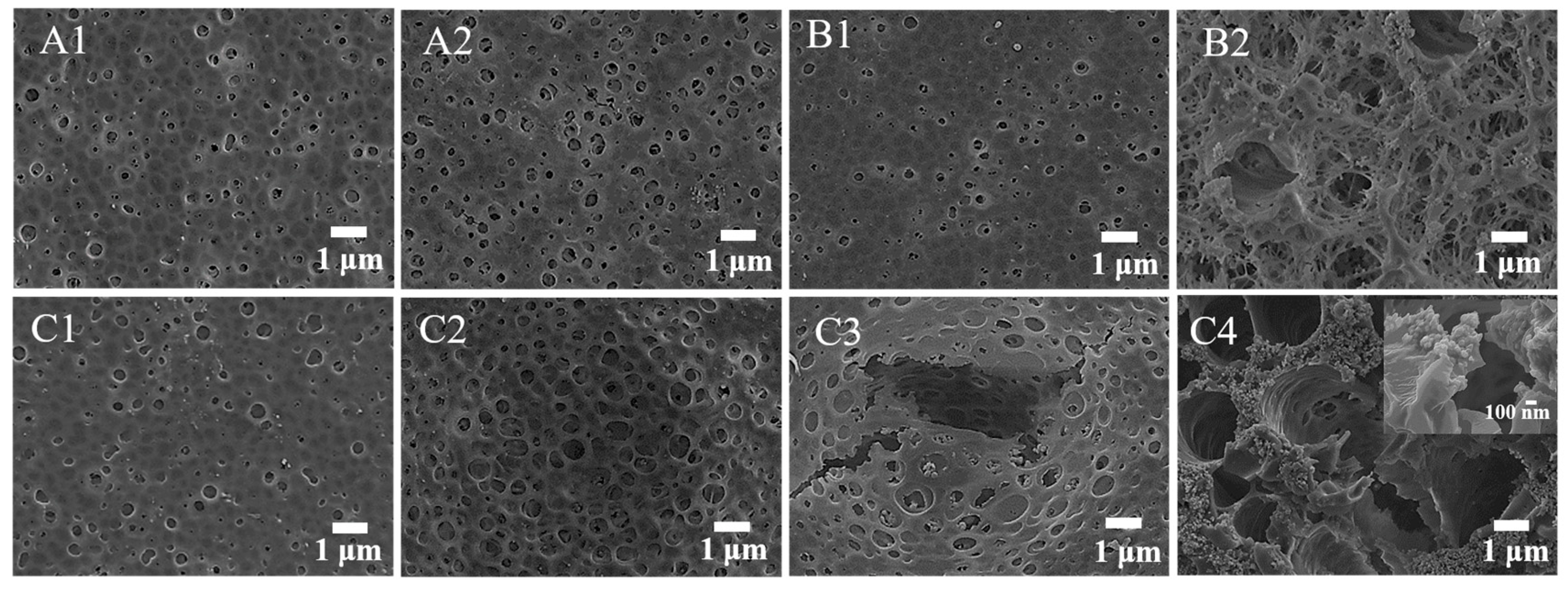 Coatings 13 00317 g008 Coatings 13 00317 g008