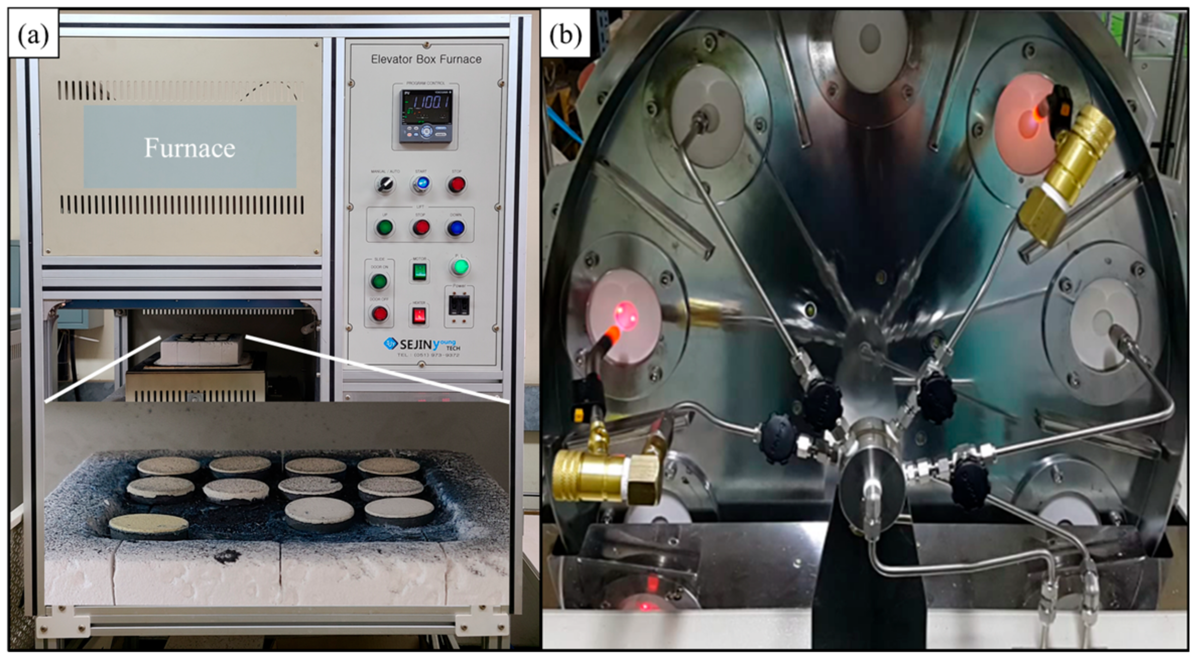 Coatings 13 00319 g001