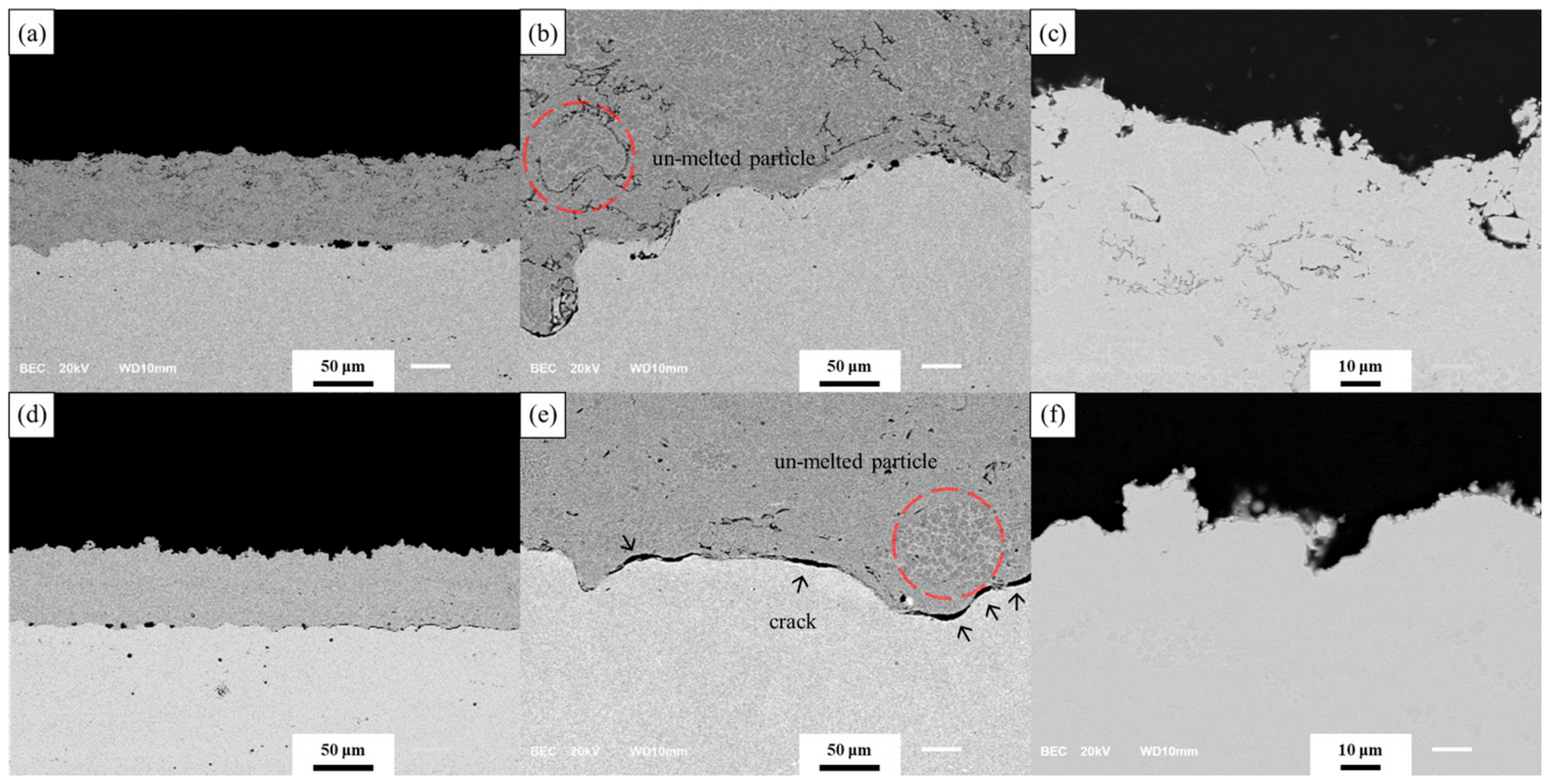 Coatings 13 00319 g004