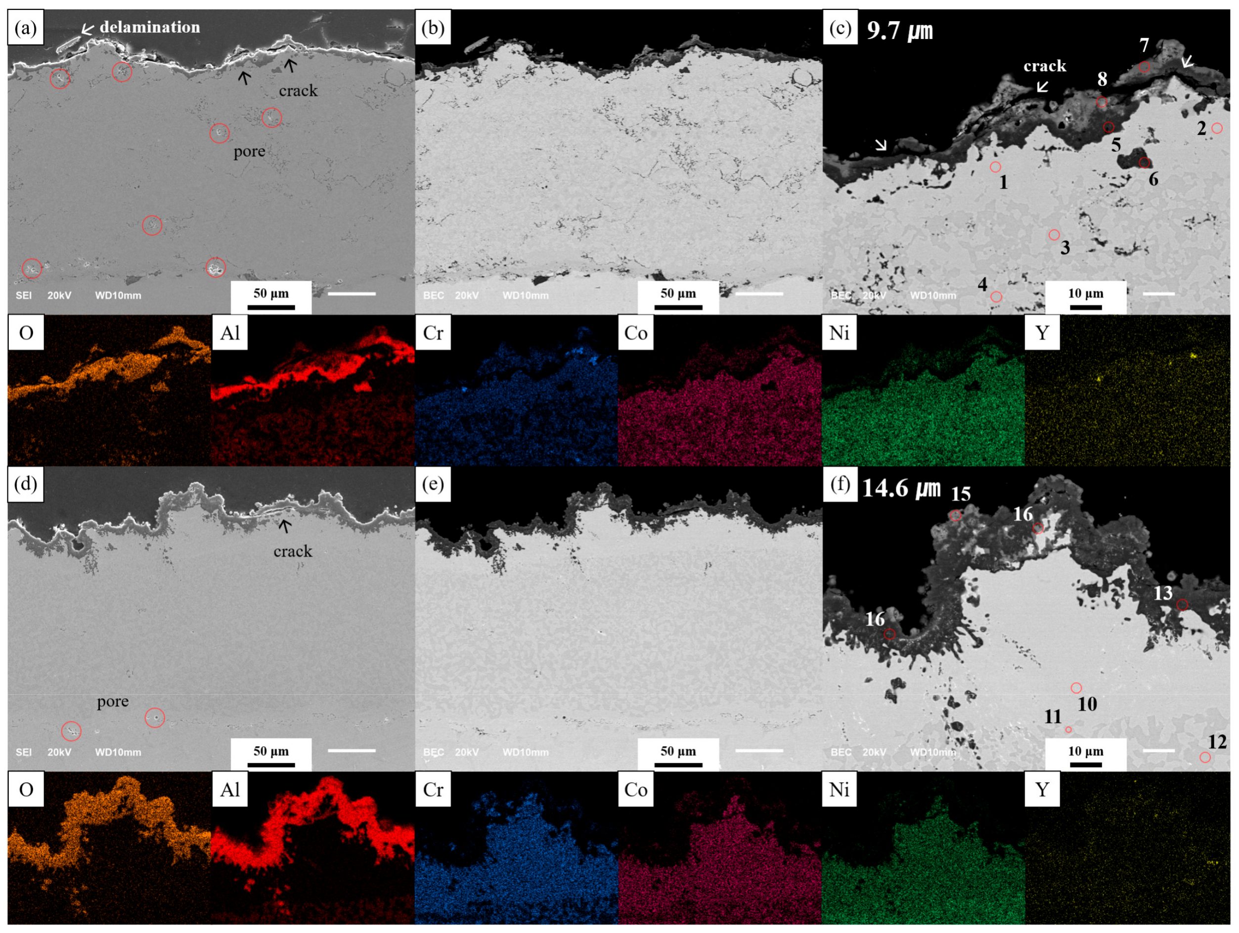 Coatings 13 00319 g005