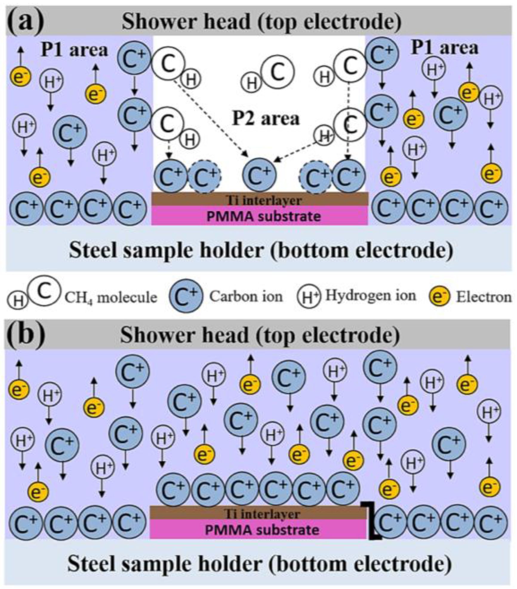 Coatings 13 00320 g004 550