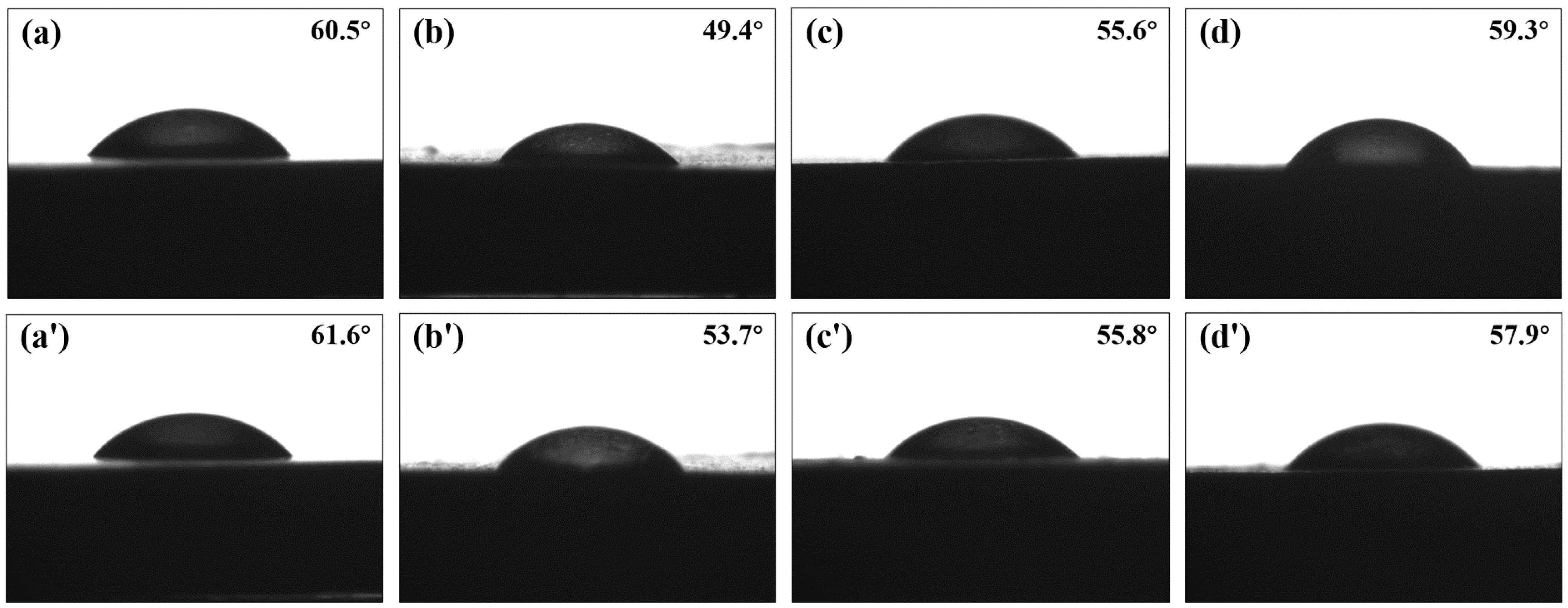 Coatings 13 00320 g005 550