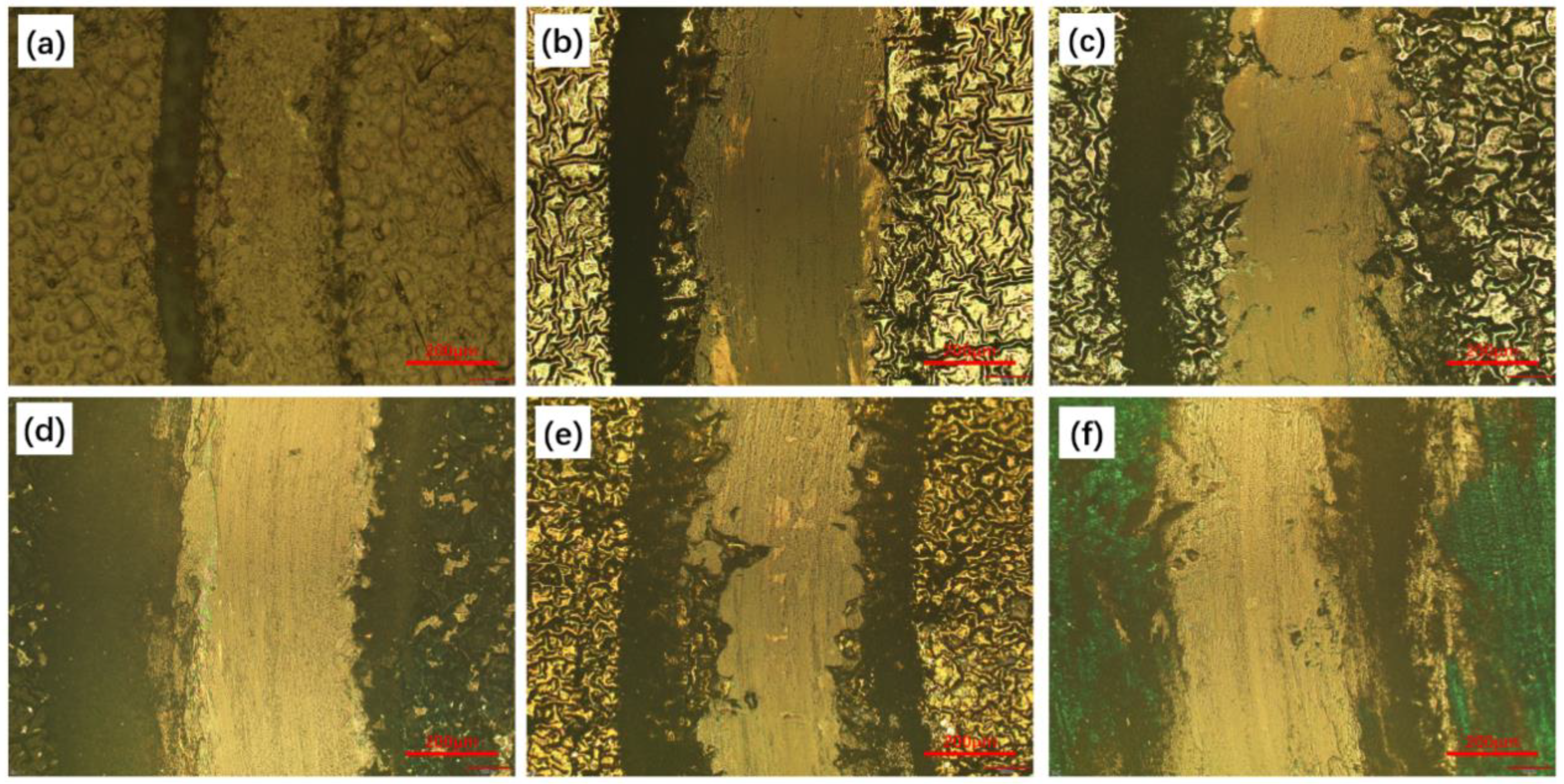 Coatings 13 00320 g009 550