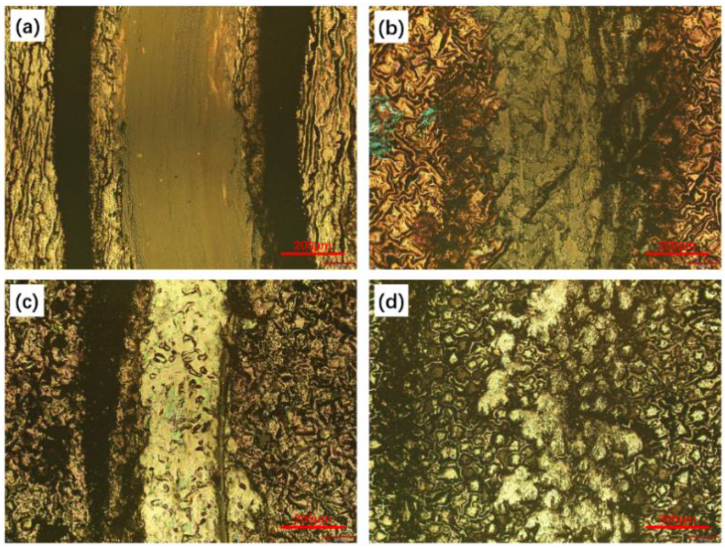 Coatings 13 00320 g011 550