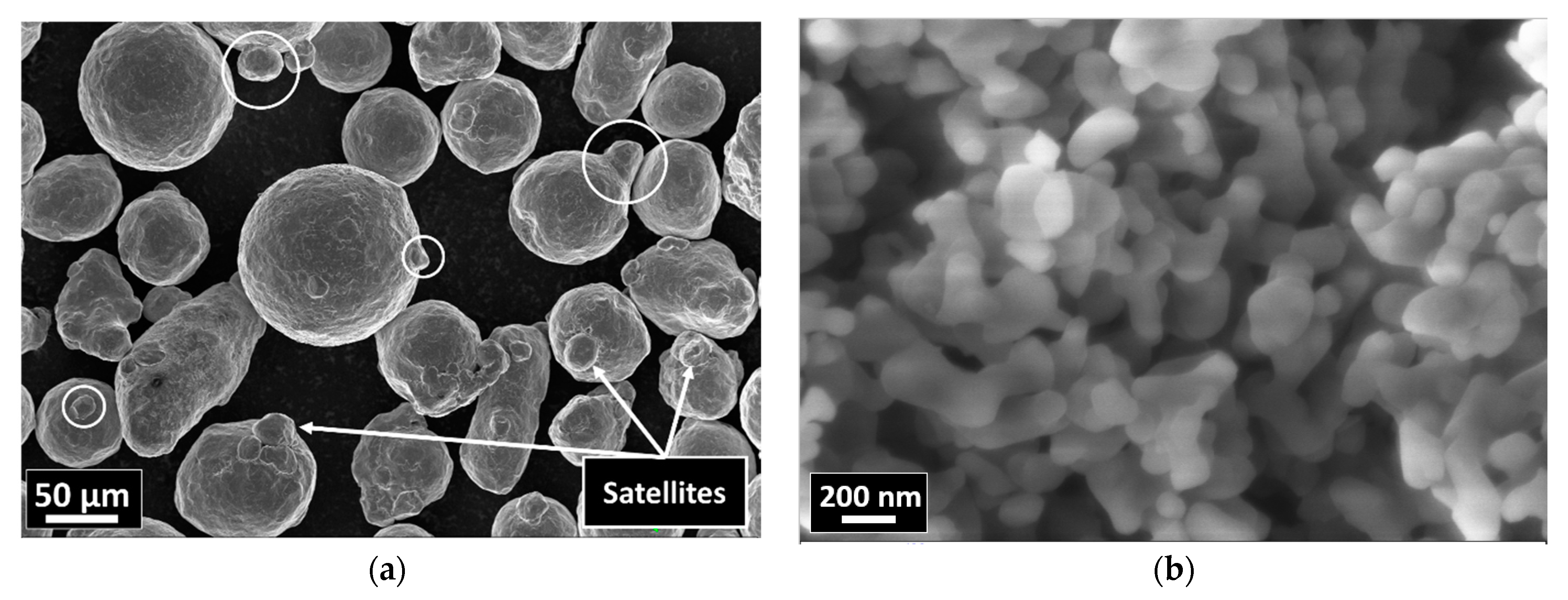 Coatings 13 00322 g001
