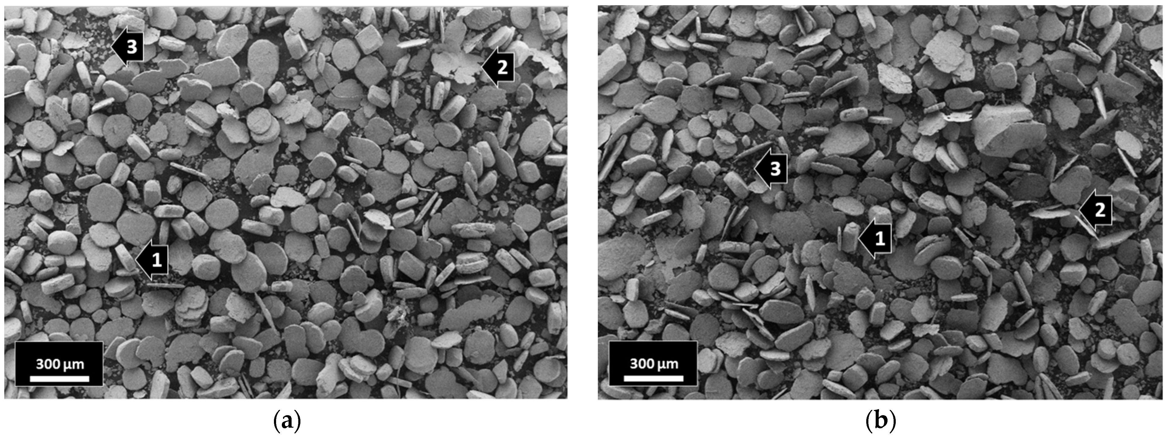 Coatings 13 00322 g002