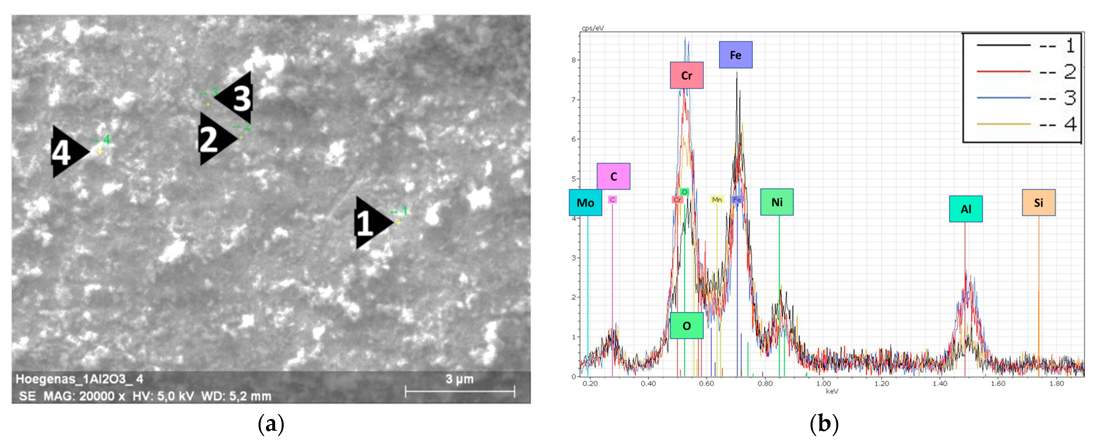 Coatings 13 00322 g004