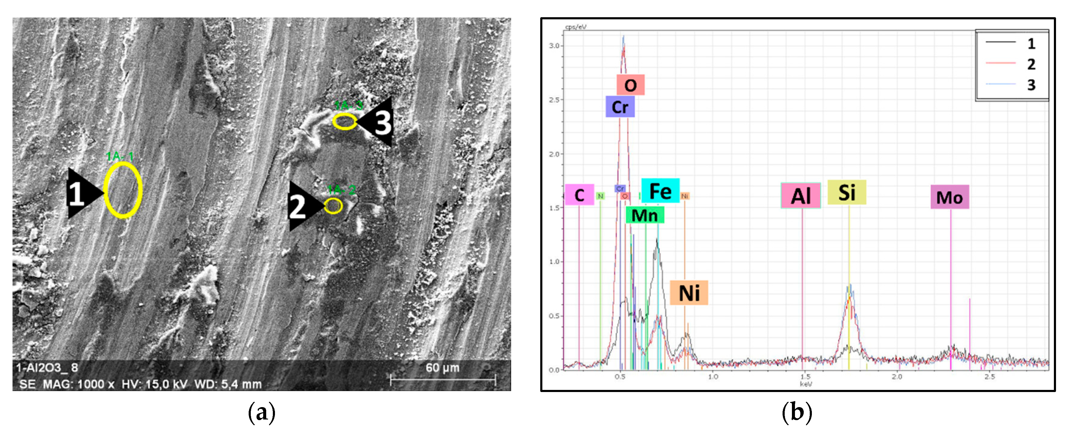 Coatings 13 00322 g013