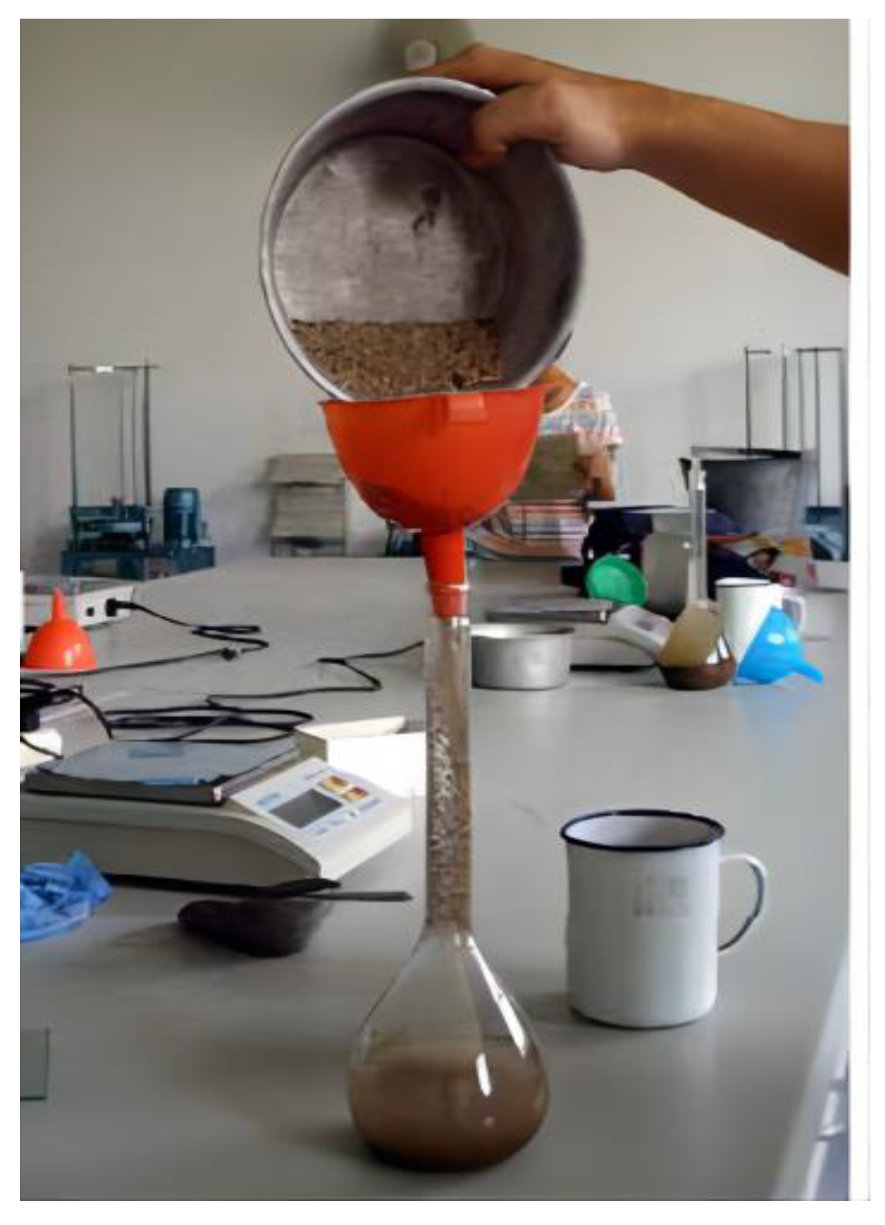 Coatings 13 00327 g002 550