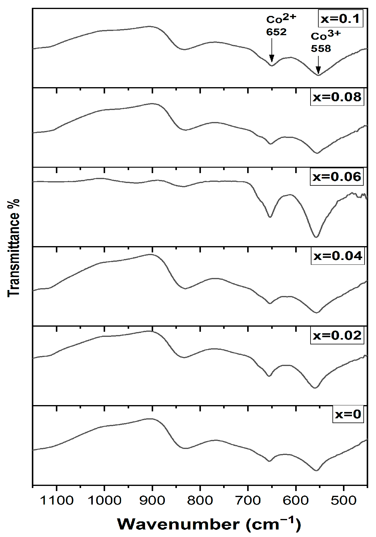 Coatings 13 00328 g002