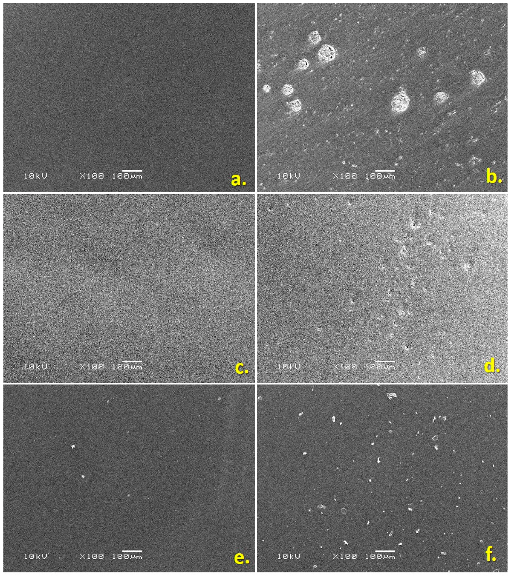 Coatings 13 00330 g002