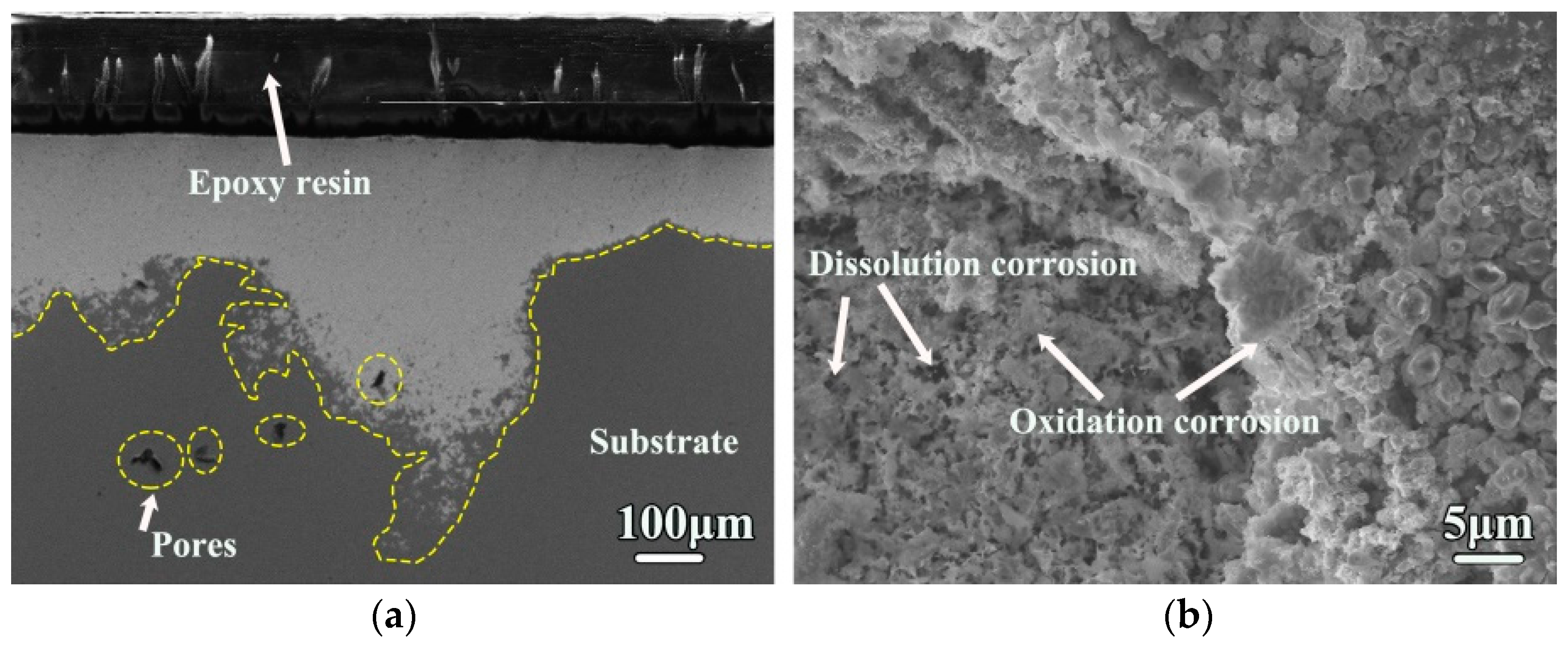 Coatings 13 00332 g010 Coatings 13 00332 g010