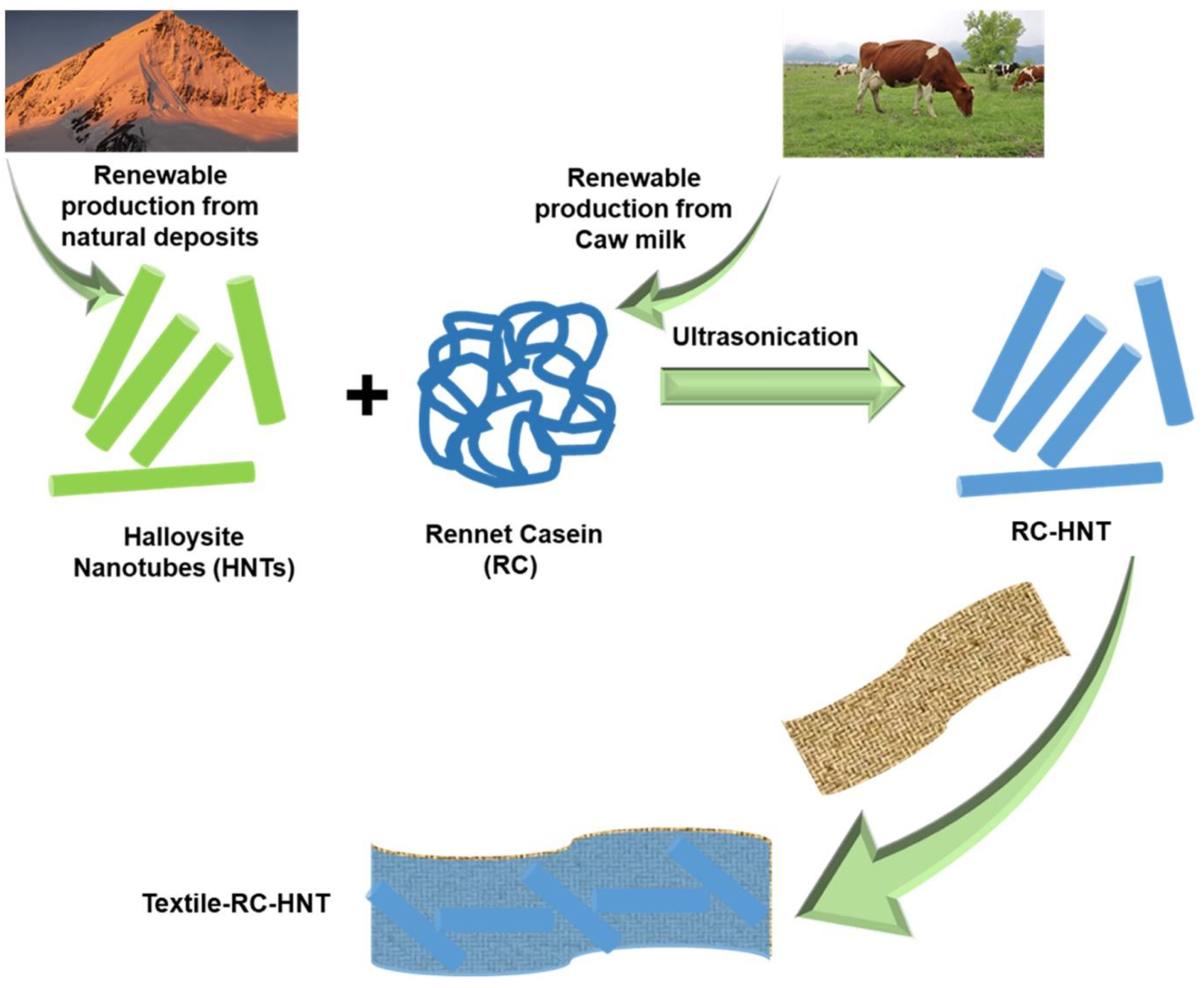 Coatings 13 00336 g002
