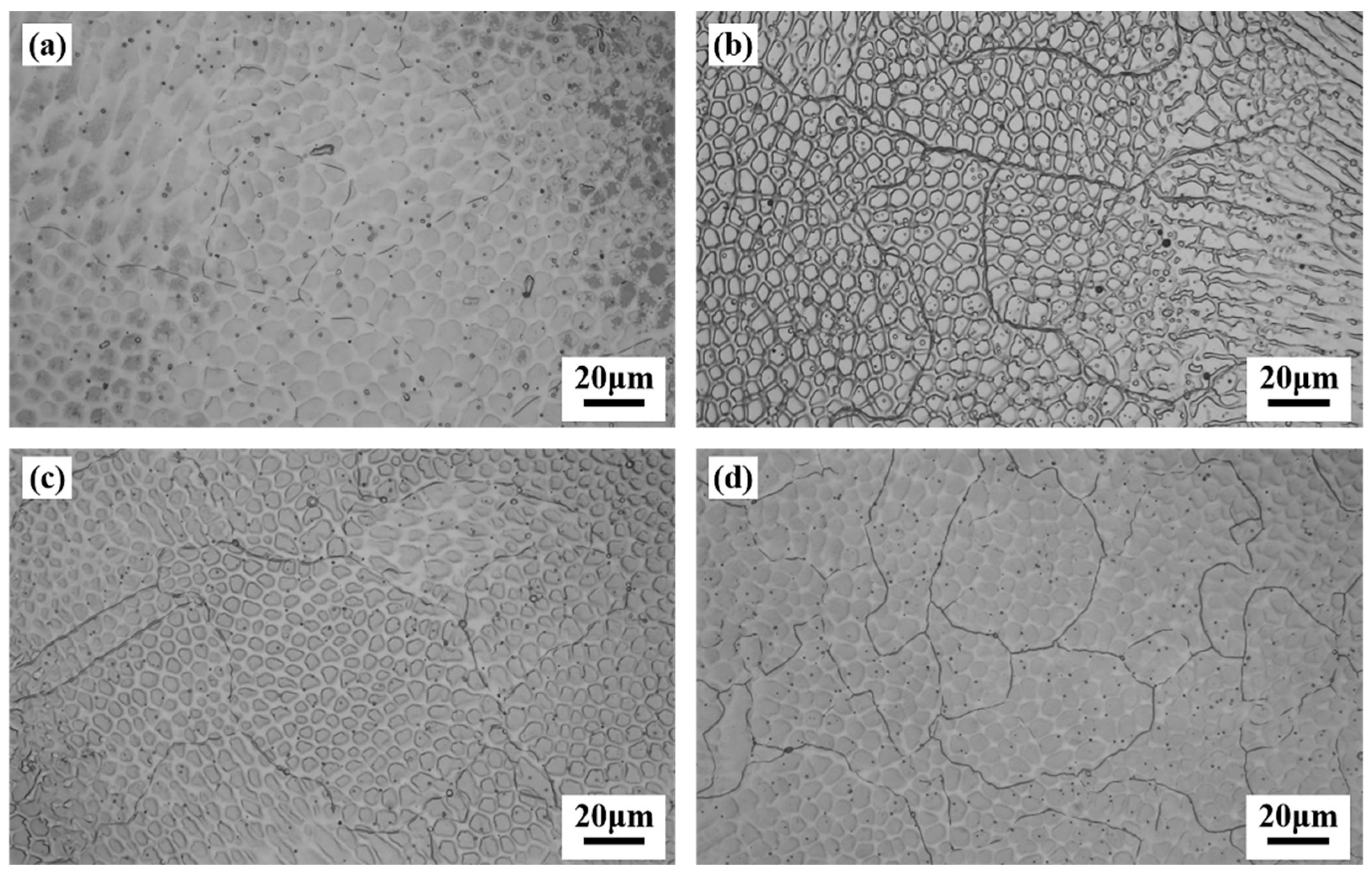 Coatings 13 00340 g004 Coatings 13 00340 g004